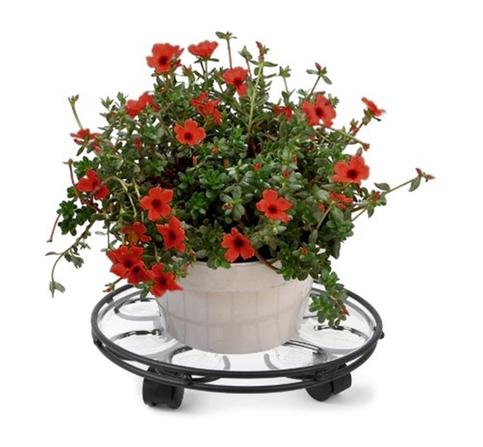 Plastec Saucer Caddy Deluxe with Casters, Slate Finish, 14"