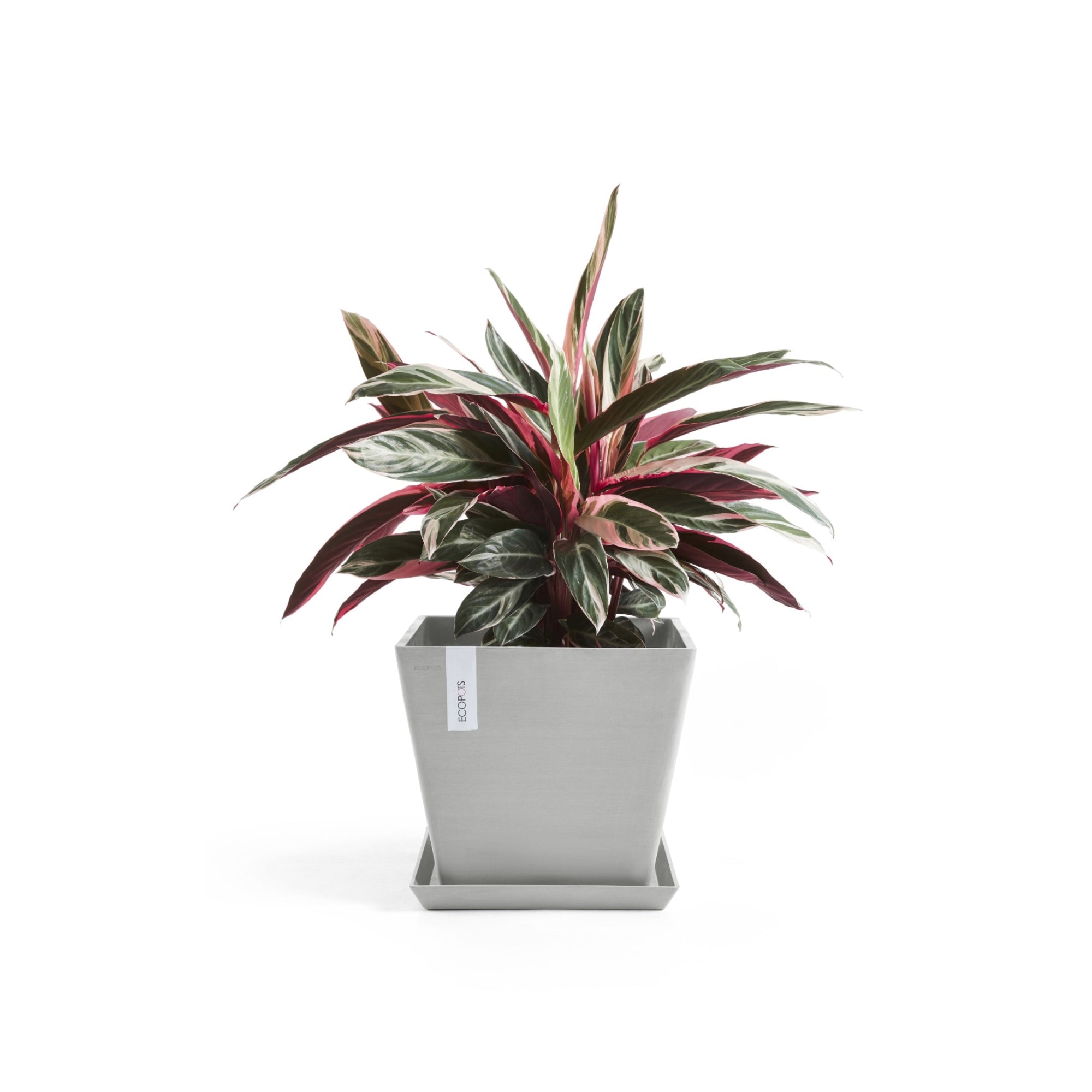 Ecopots Rotterdam Durable Modern Square Indoor/Outdoor Recycled-Based Composite Flower Planter