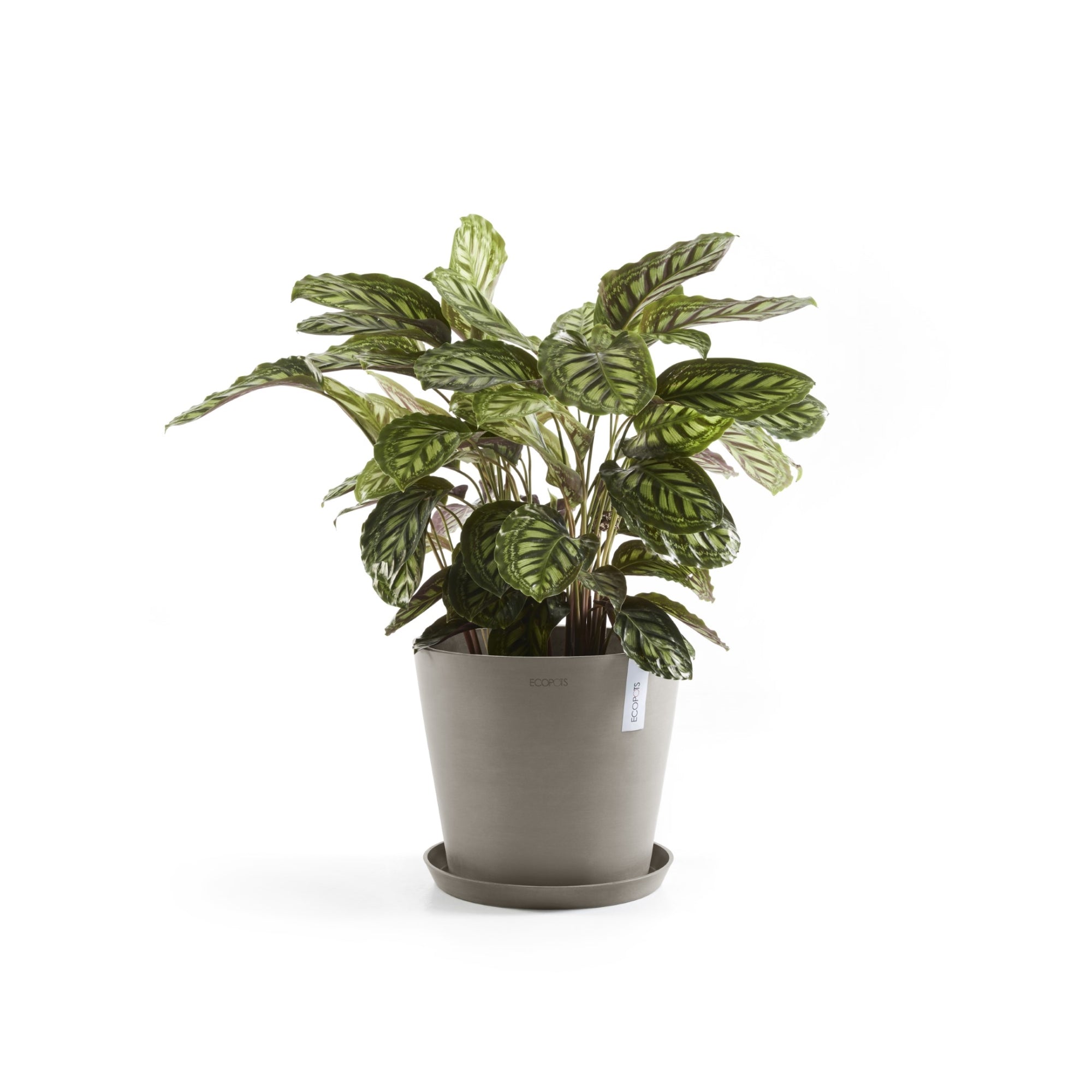Ecopots Amsterdam Durable Modern Round In/Outdoor Recycled-Based Composite Flower Pot Planter
