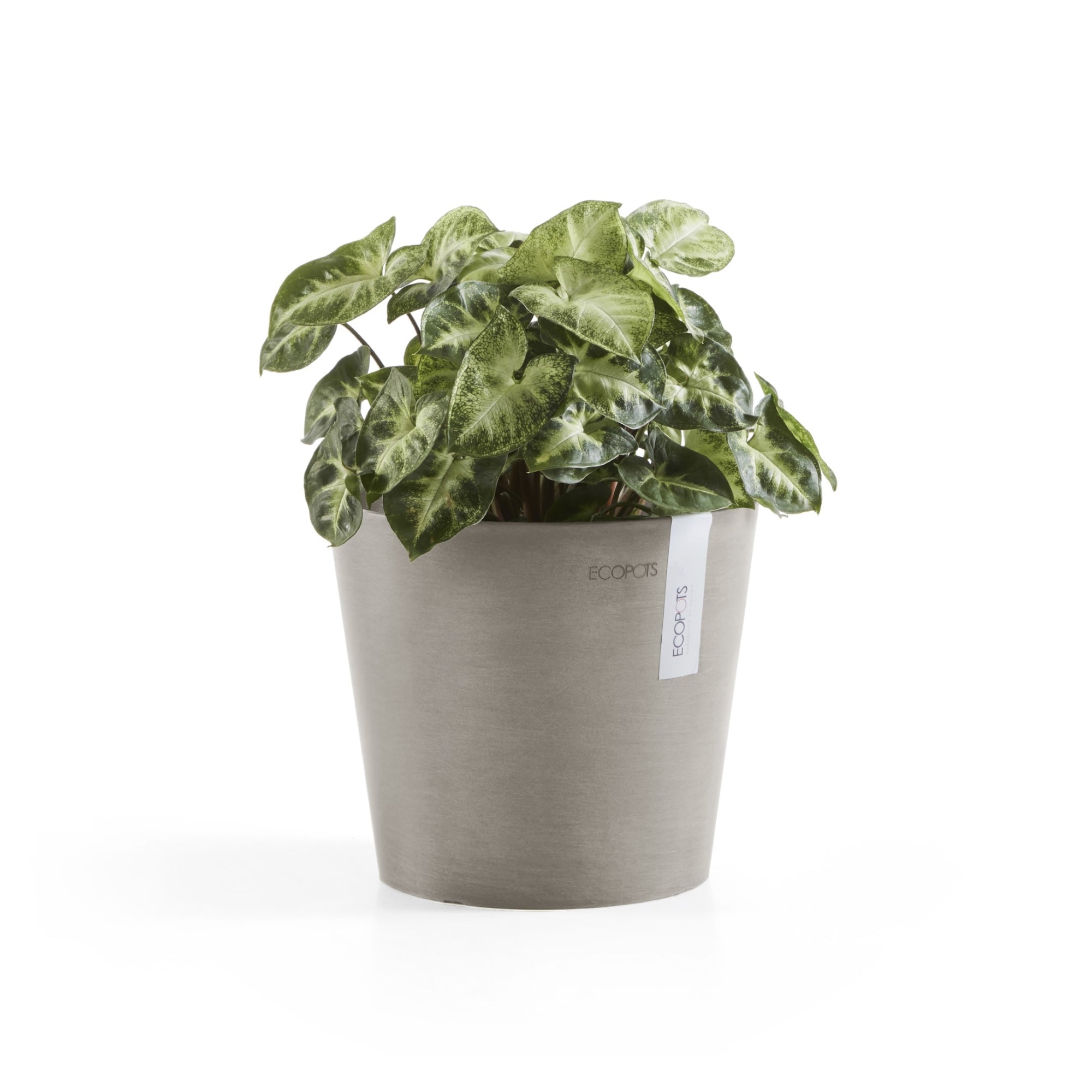 Ecopots Amsterdam Mini Durable Modern Round Recycled-Based Composite Flower Pot Planter