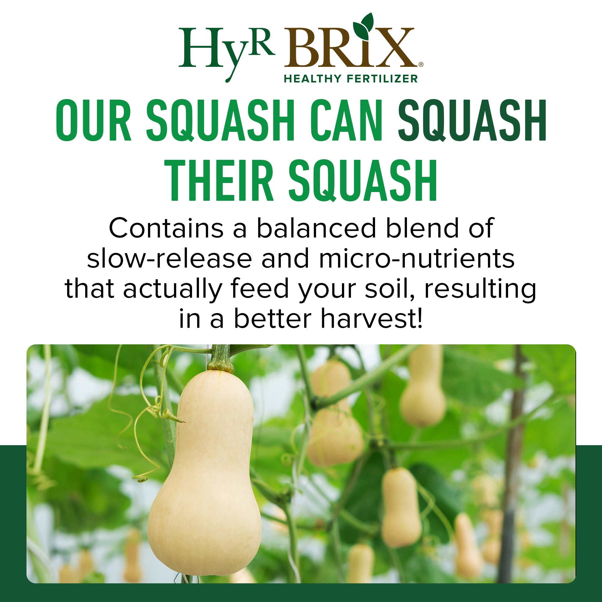 HyR BRIX Slow-Release 4-7-9 Vegetable Garden Fertilizer