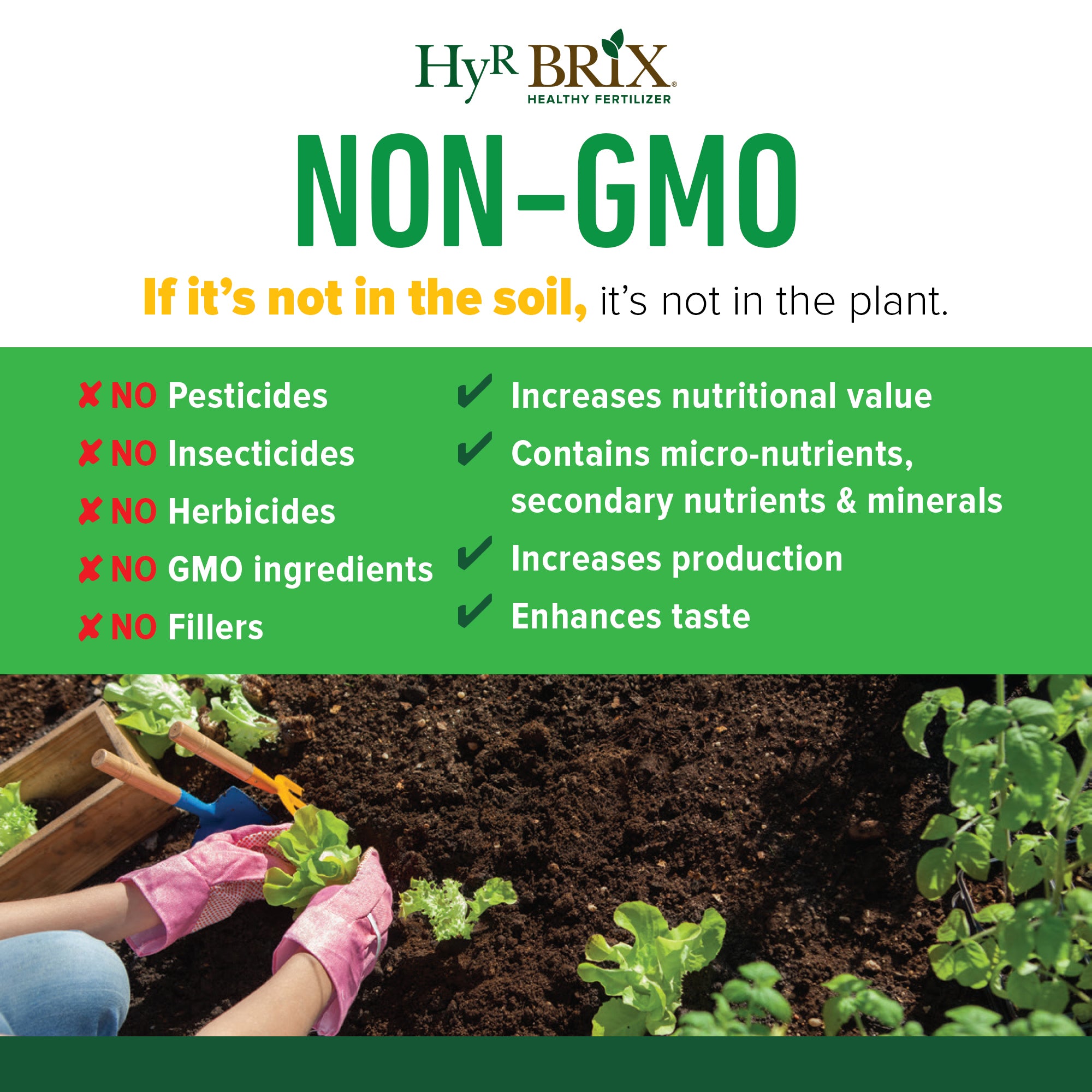 HyR BRIX Slow-Release 4-7-9 Vegetable Garden Fertilizer