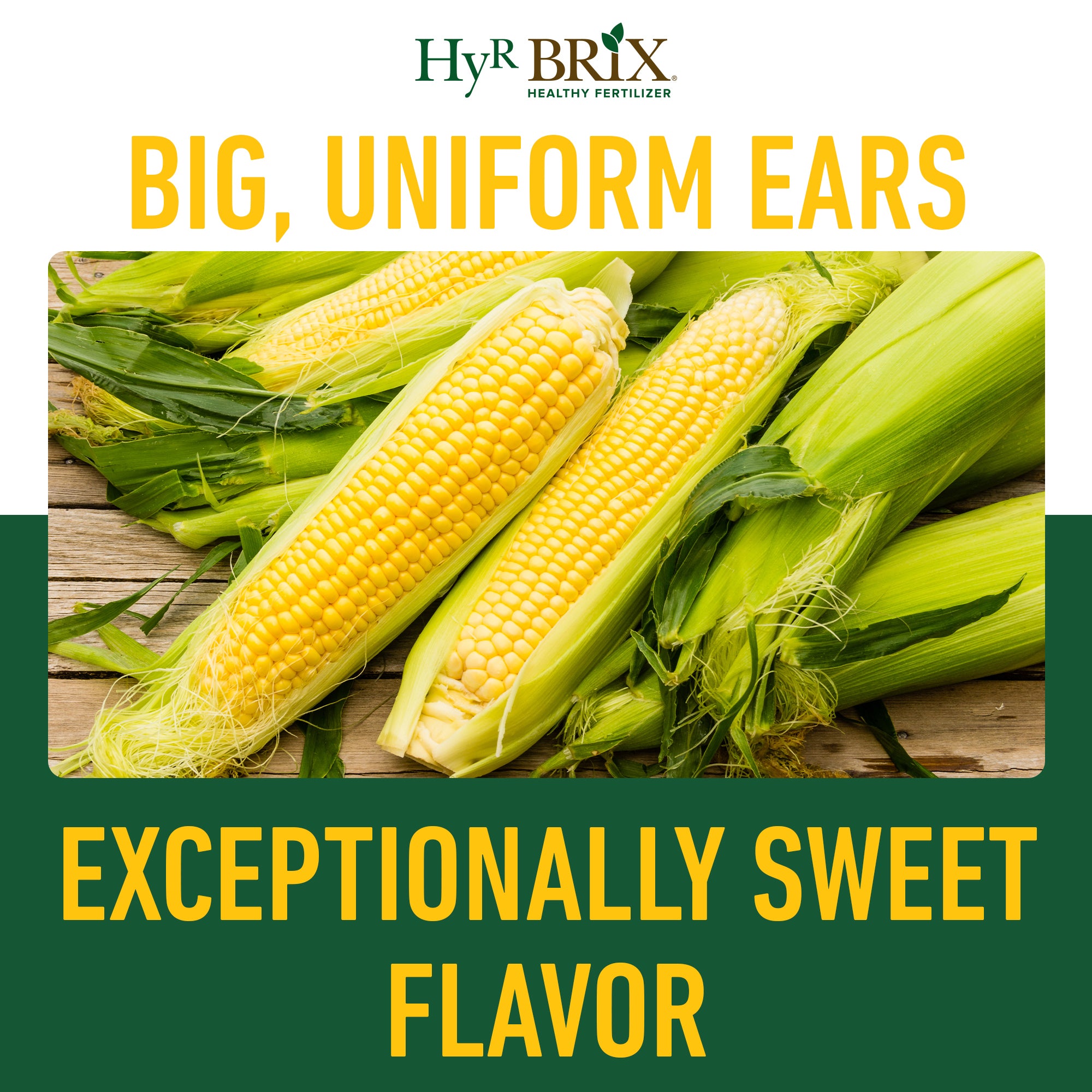 HyR BRIX Slow-Release 16-7-10 Sweet Corn Fertilizer
