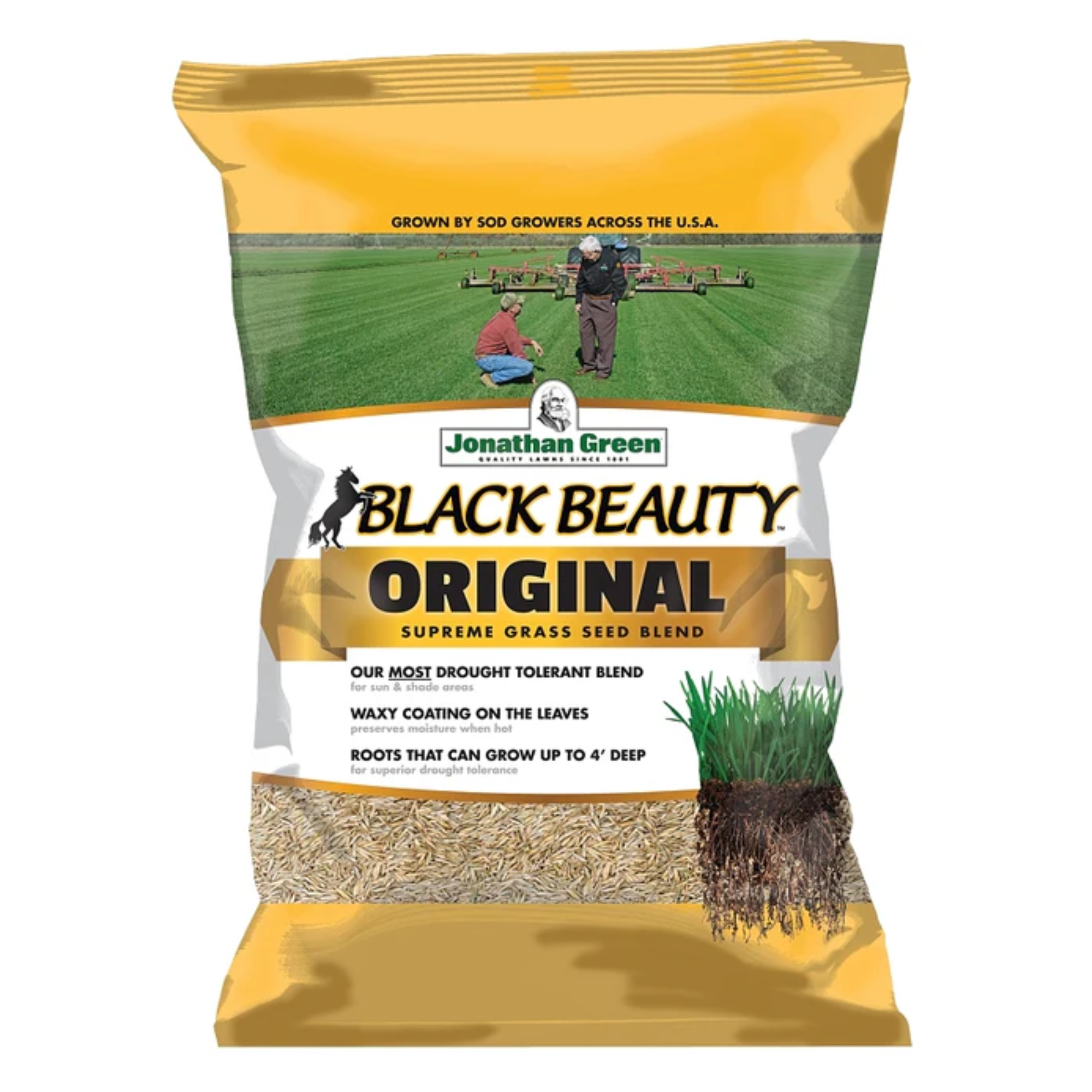 Jonathan Green Black Beauty Tall Fescue Grass Seed Blend