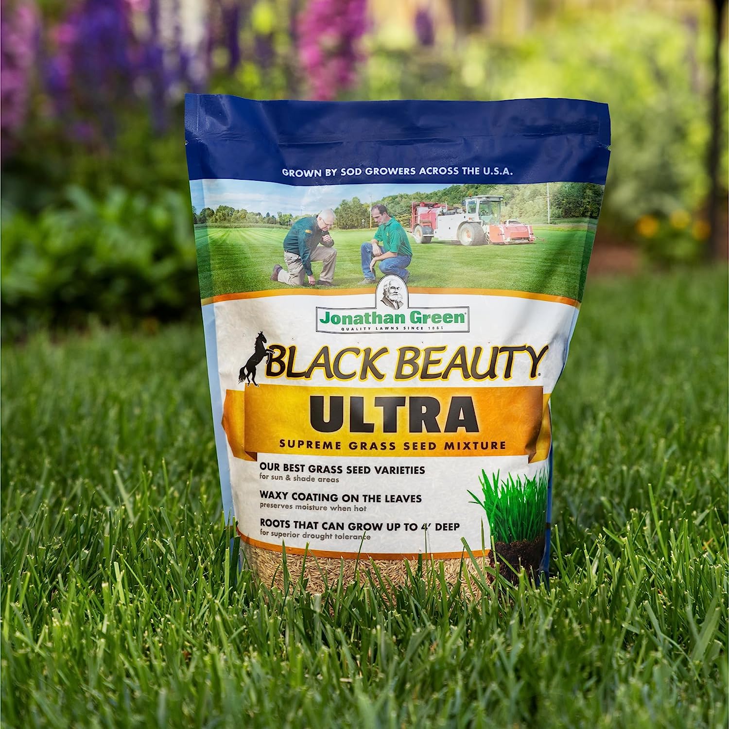 Jonathan Green Black Beauty Ultra Grass Seed Mix