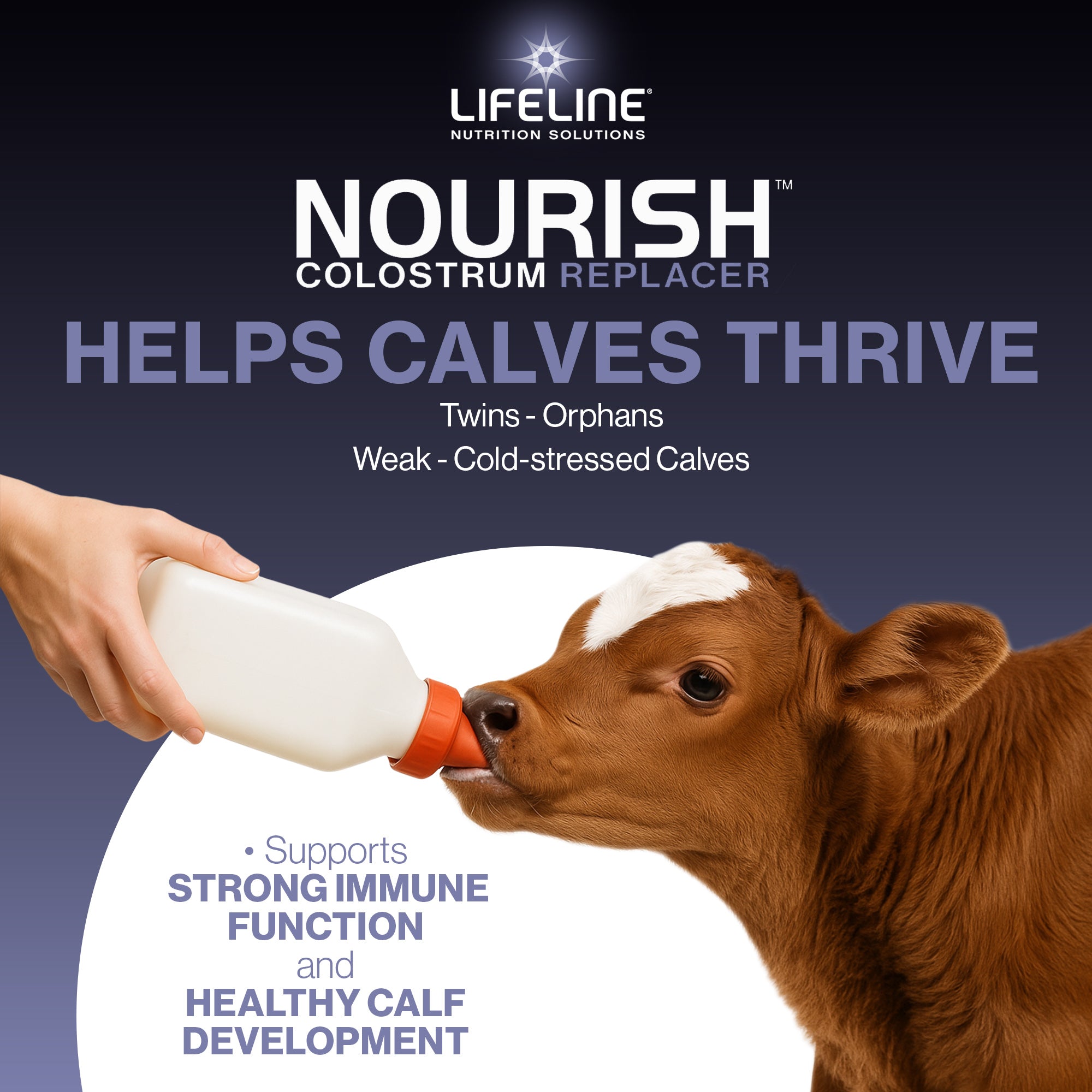 ANNUSO LIFELINE Nourish Complete Colostrum Replacer for Calves
