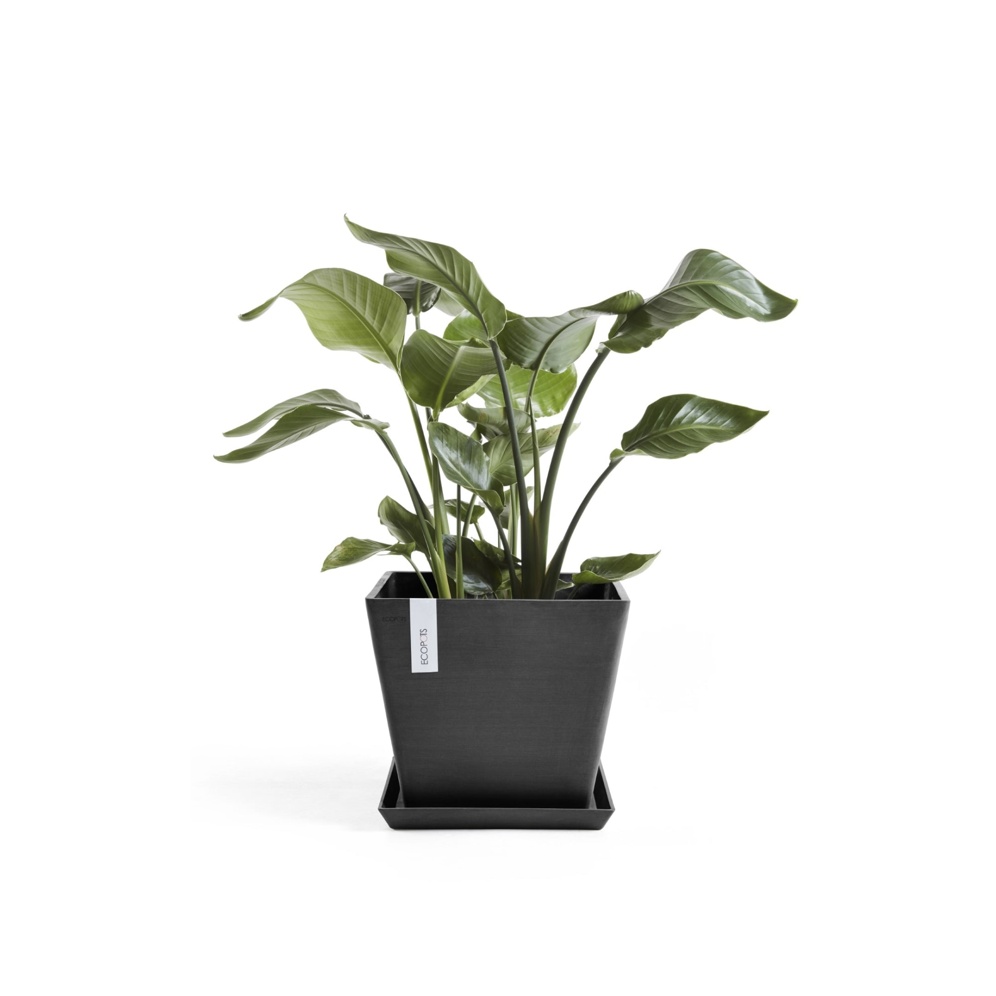 Ecopots Rotterdam Durable Modern Square Indoor/Outdoor Recycled-Based Composite Flower Planter
