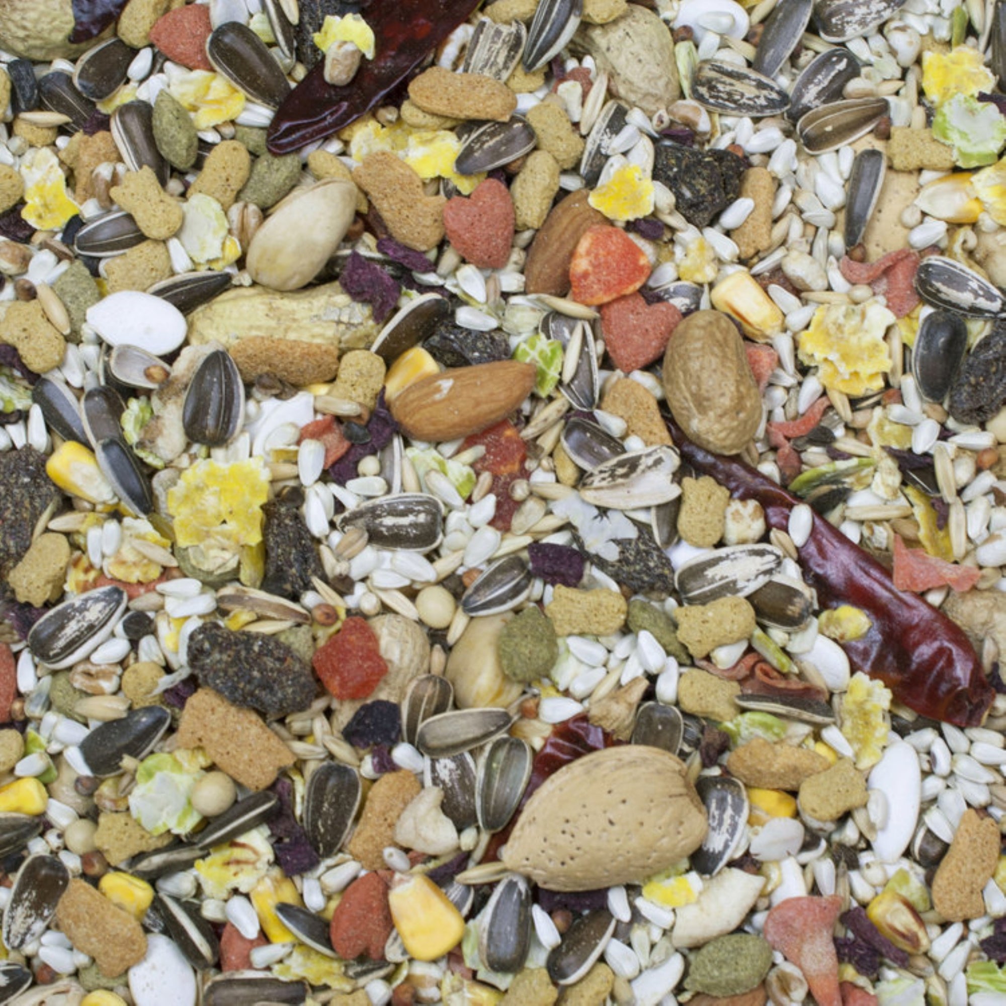 Higgins Sunburst Gourmet Bird Food Blend for Parrots, Food and Treat in One, 25lbs