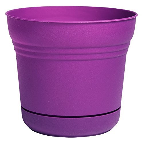Bloem Saturn Plastic In/Outdoor Flower Pot Planter with Saucers