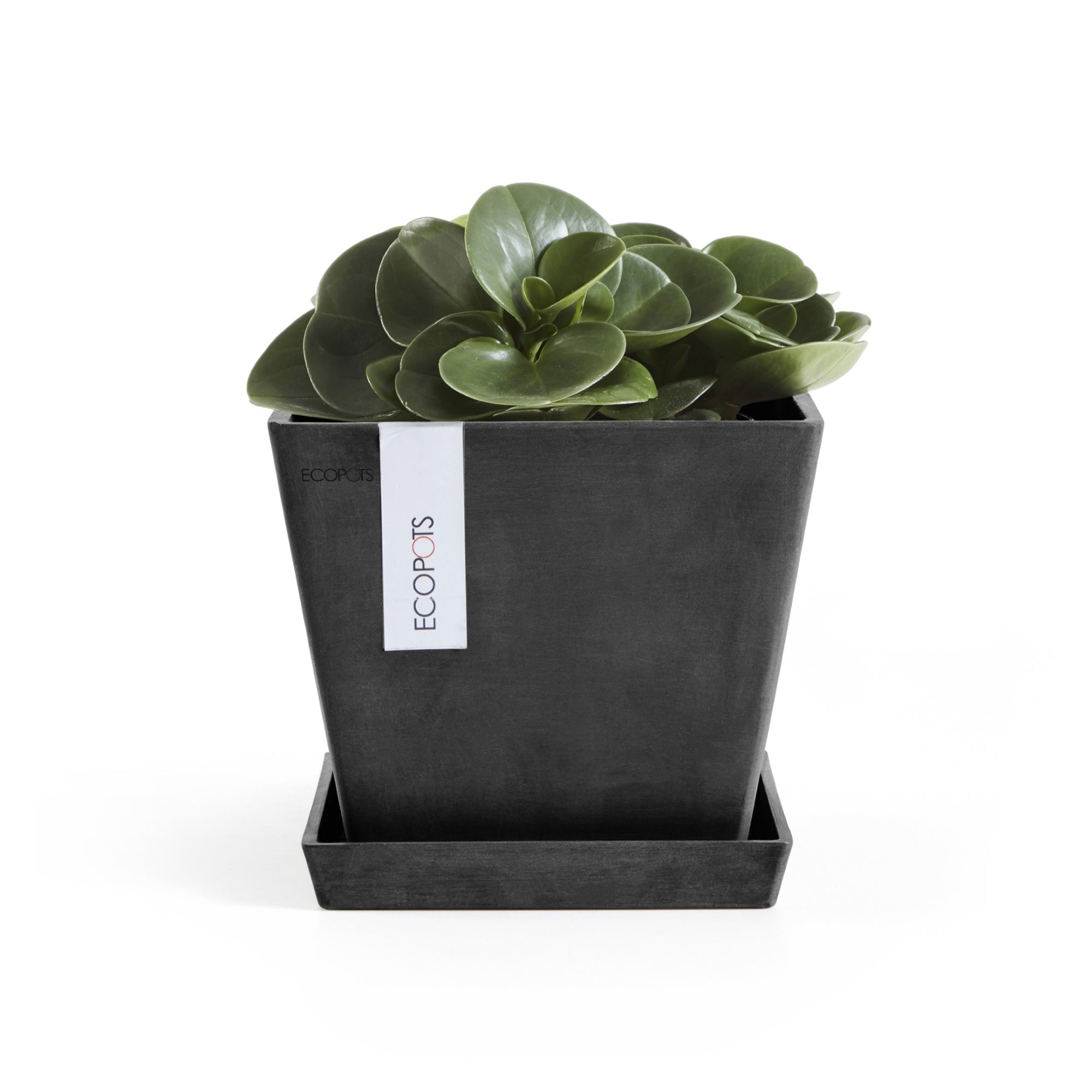 Ecopots Rotterdam Durable Modern Square Indoor/Outdoor Recycled-Based Composite Flower Planter