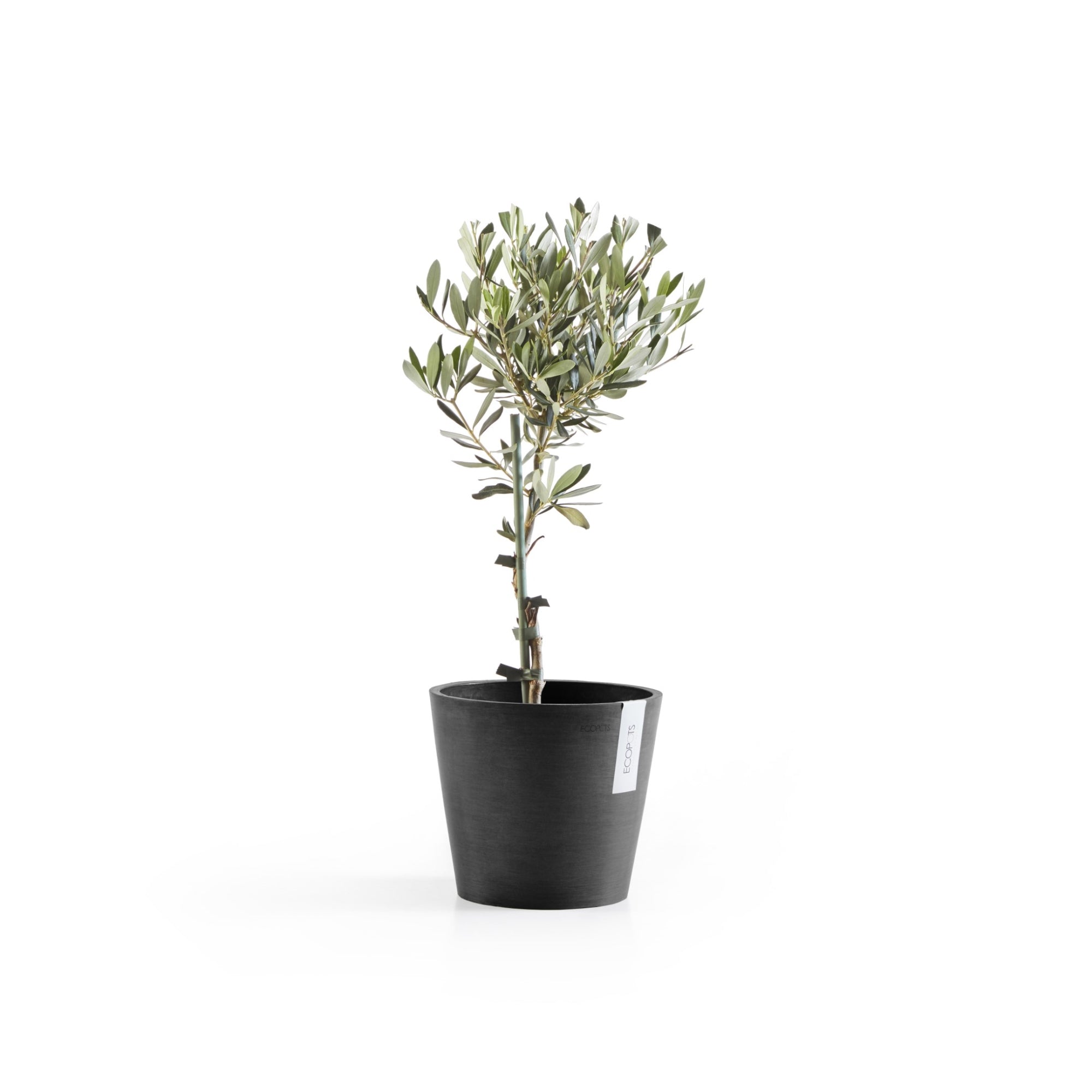 Ecopots Amsterdam Durable Modern Round In/Outdoor Recycled-Based Composite Flower Pot Planter