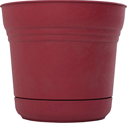 Bloem Saturn Plastic In/Outdoor Flower Pot Planter with Saucers