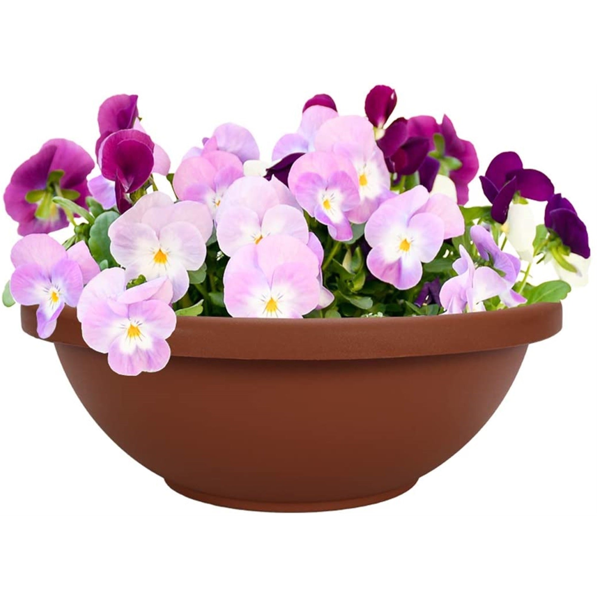 The HC Companies Garden Bowl with Removable Drain Plugs, Clay Color, 14 In
