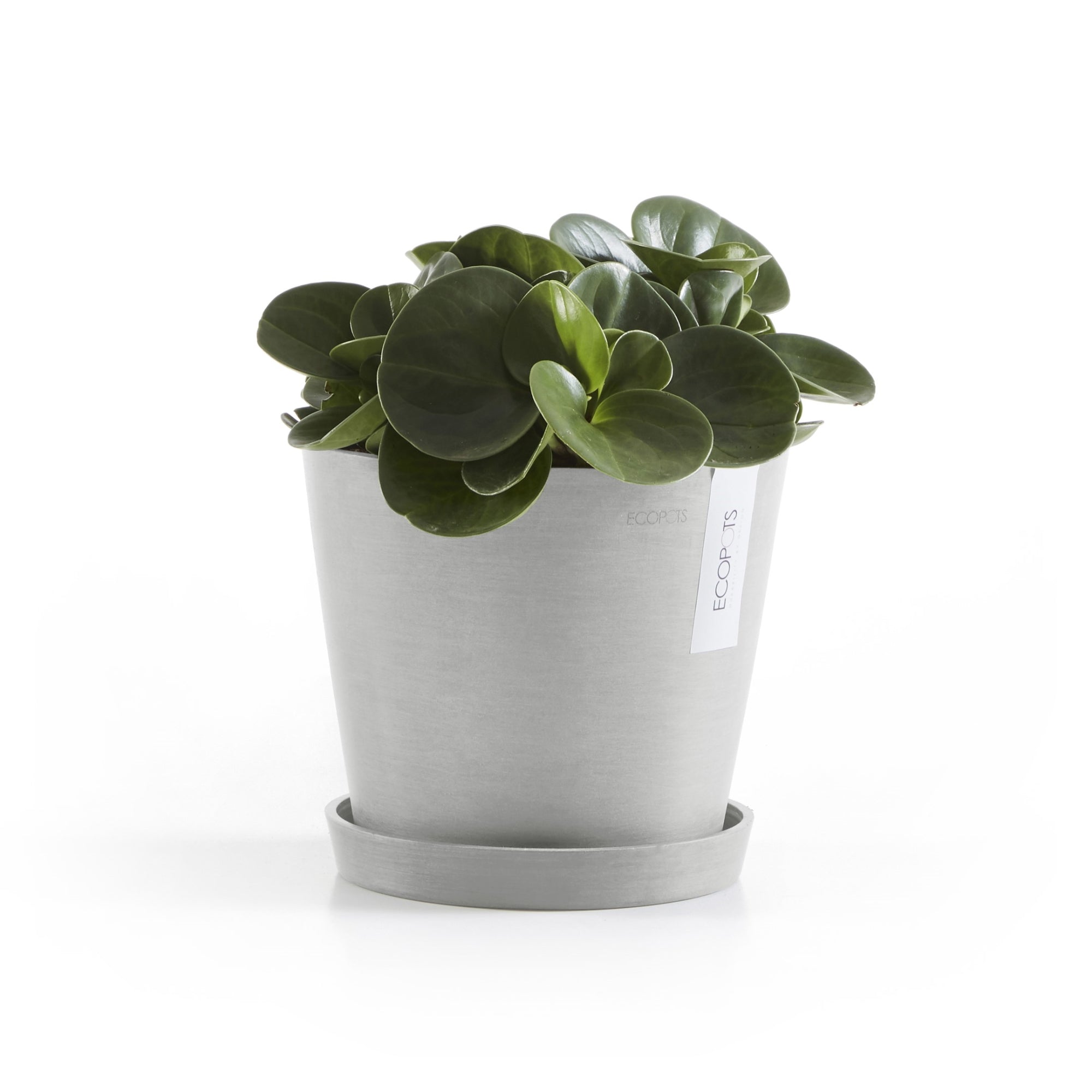 Ecopots Amsterdam Durable Modern Round In/Outdoor Recycled-Based Composite Flower Pot Planter