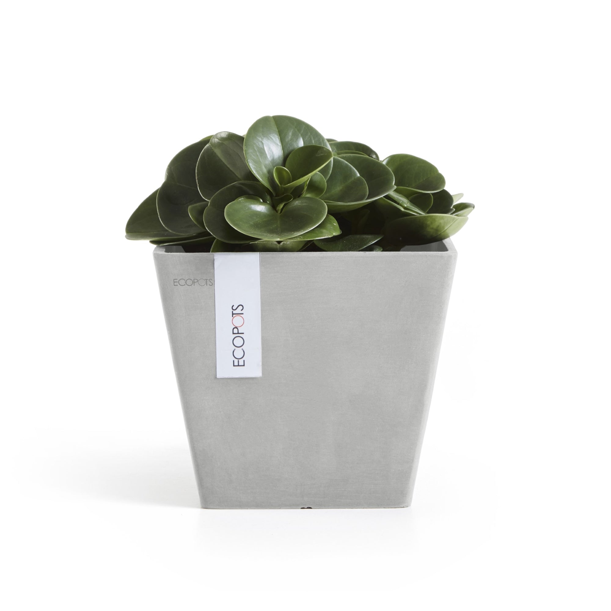 Ecopots Rotterdam Durable Modern Square Indoor/Outdoor Recycled-Based Composite Flower Planter