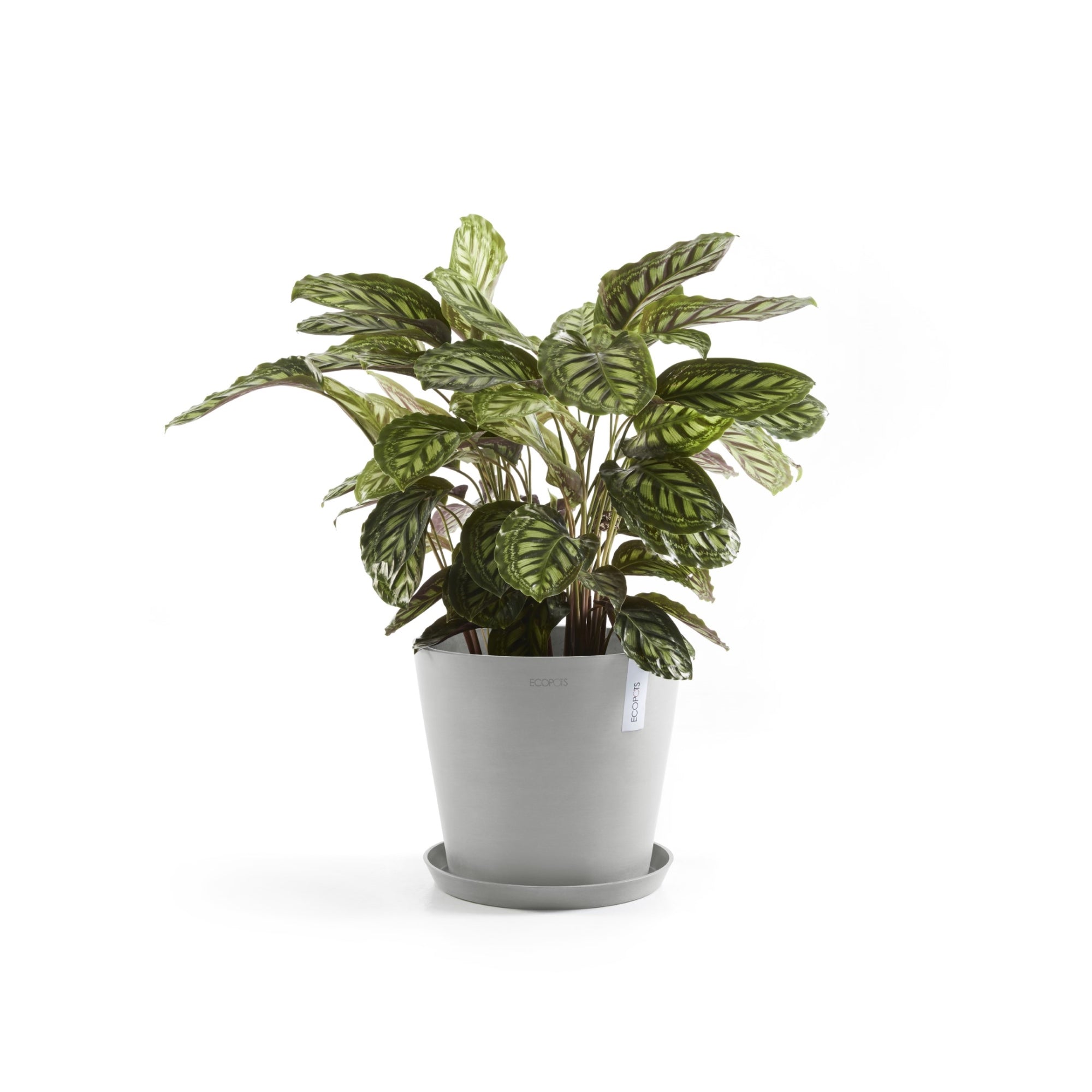 Ecopots Amsterdam Durable Modern Round In/Outdoor Recycled-Based Composite Flower Pot Planter