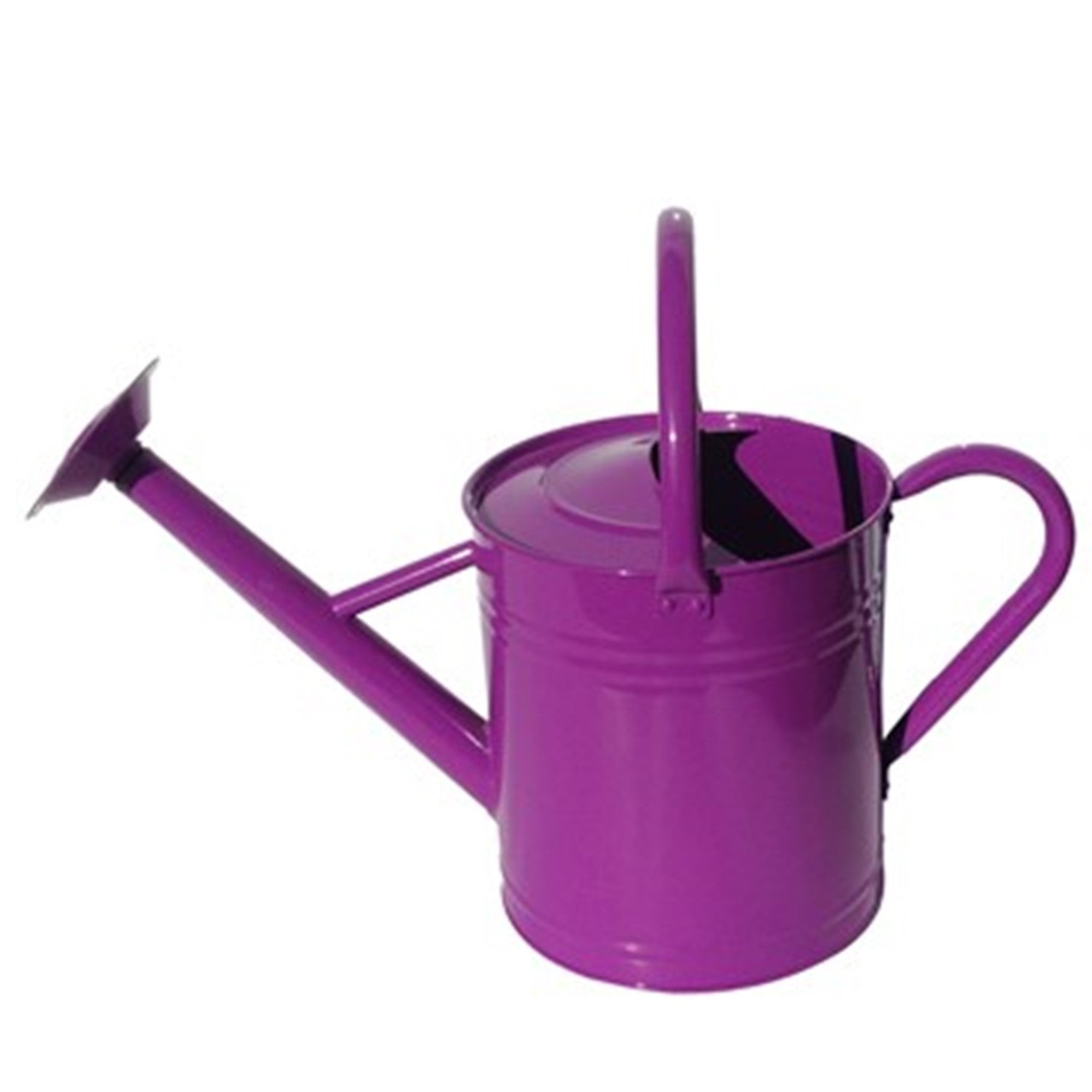 Gardener Select Monochromatic Series Metal Watering Cans