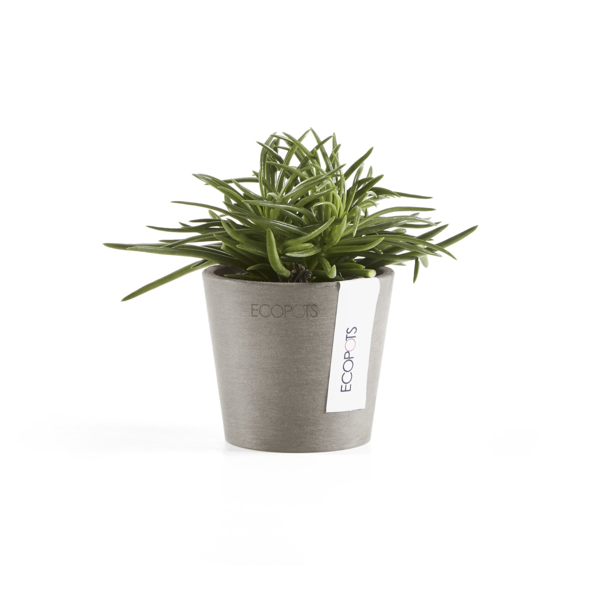 Ecopots Amsterdam Mini Durable Modern Round Recycled-Based Composite Flower Pot Planter