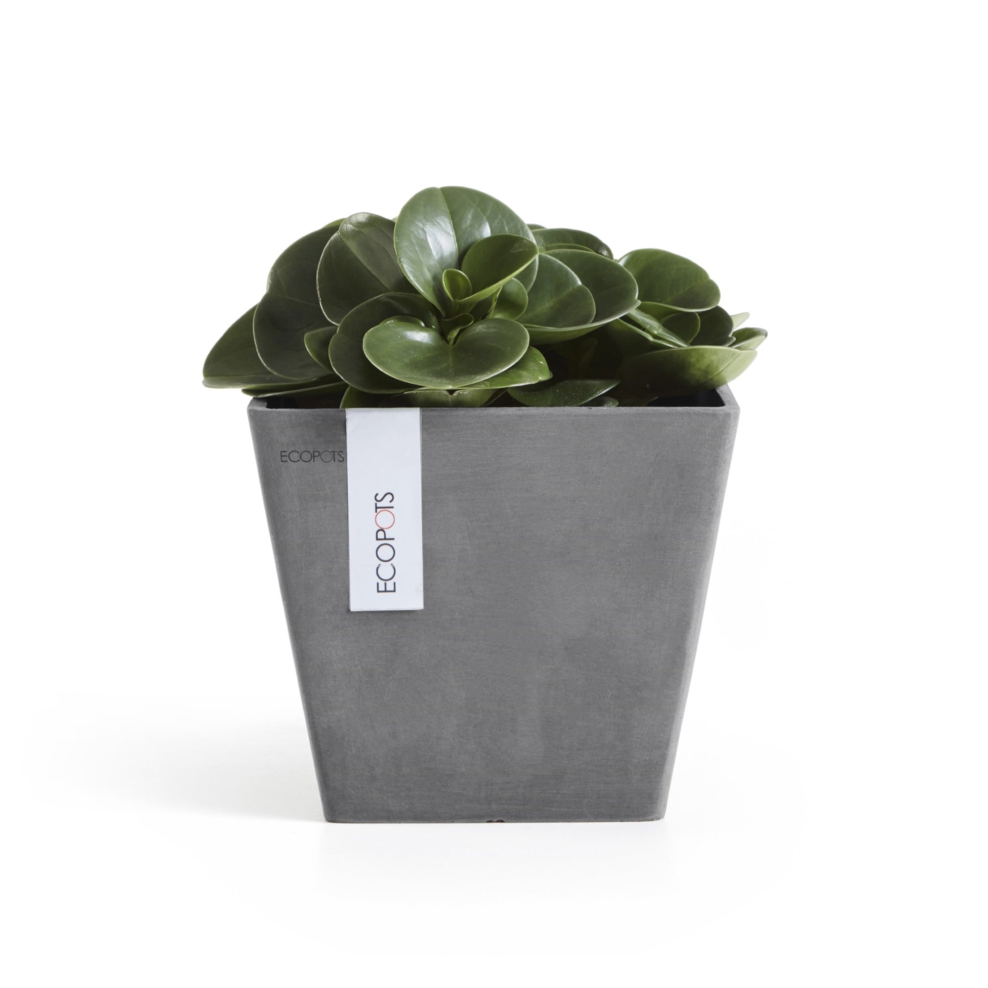 Ecopots Rotterdam Durable Modern Square Indoor/Outdoor Recycled-Based Composite Flower Planter