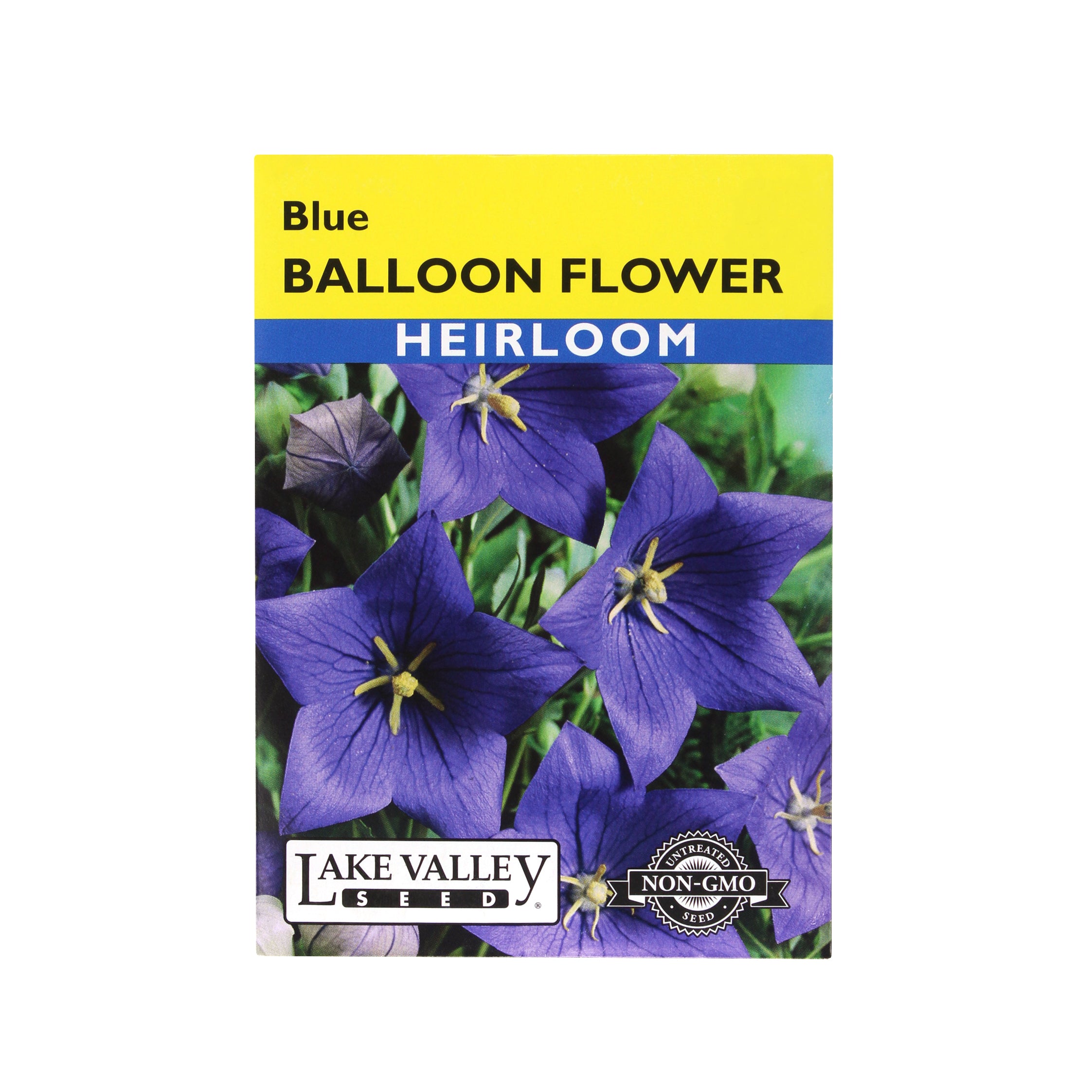 Lake Valley Seed: Balloon Flower Blue Heirloom Flower