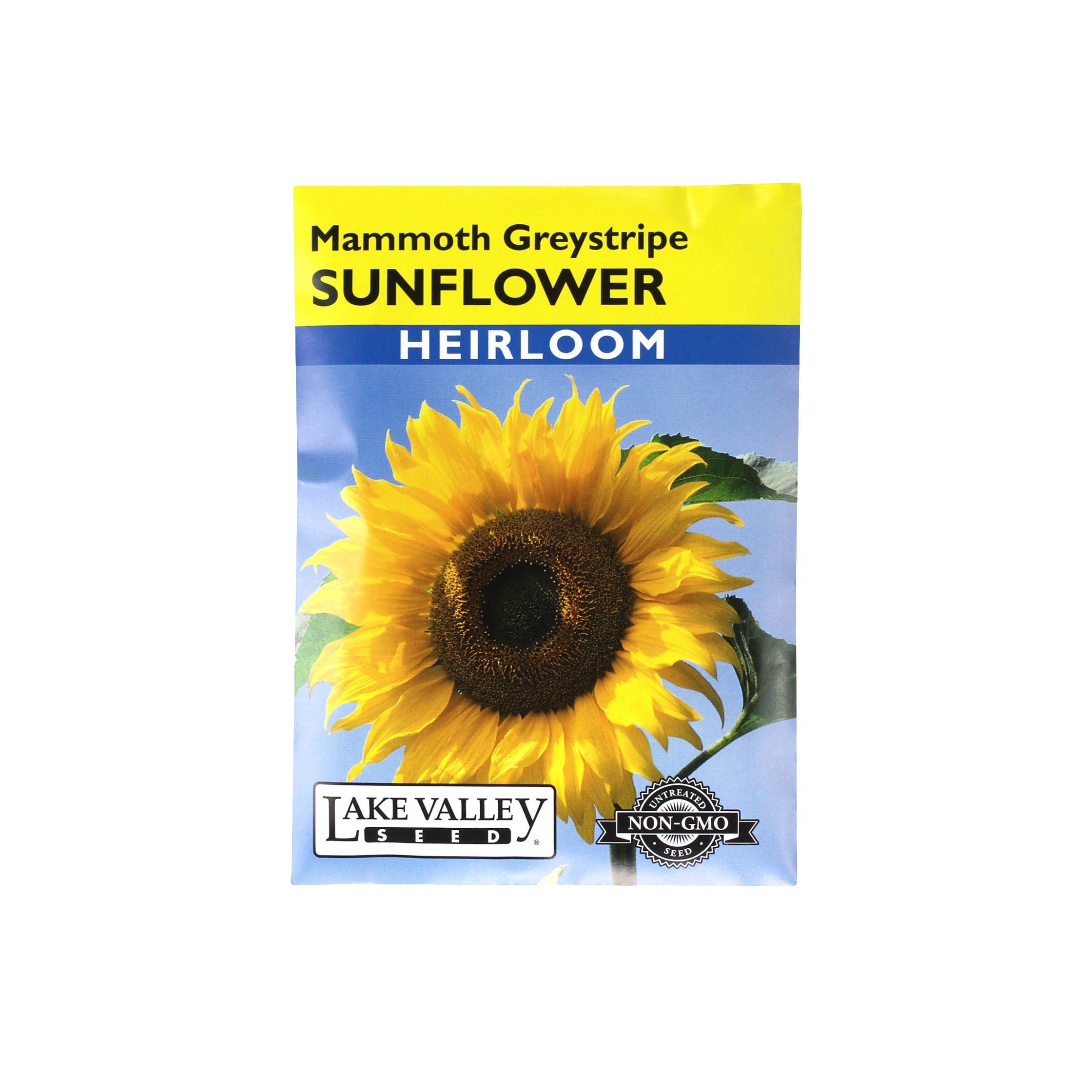 Lake Valley Seeds Sunflower Mammoth Gray Stripe Flower