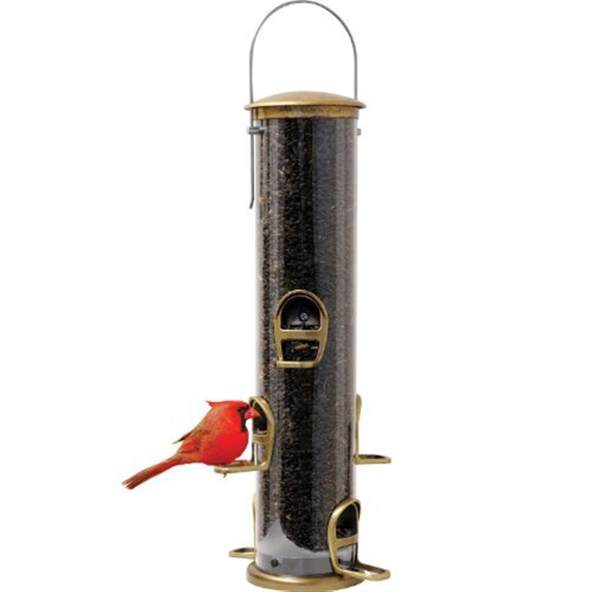 Aspects Antique Brass Quick Clean Big Tube Bird Feeder — 6 Perches, Large Capacity — 3.5 Qt