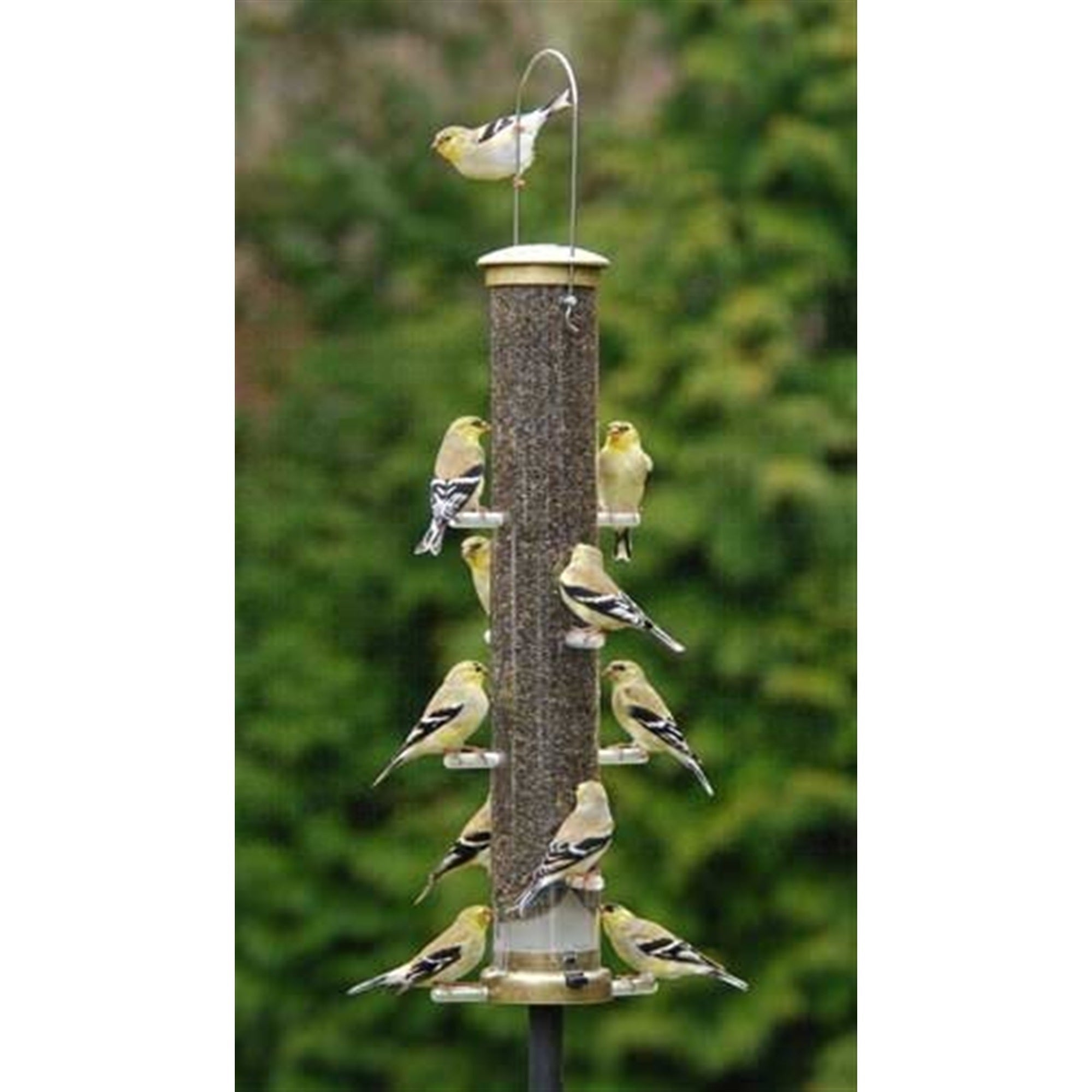 Aspects Quick-Clean Large Thistle Tube Feeder, Antique Brass, 20in
