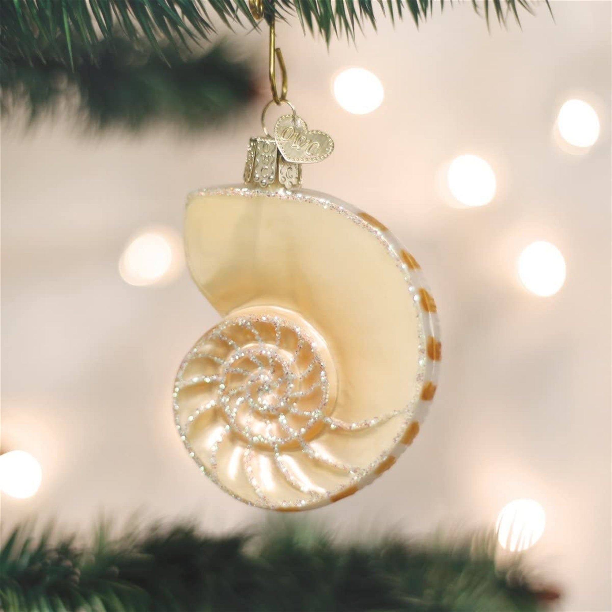Old World Christmas Glass Blown Nautilus Shell Ornament