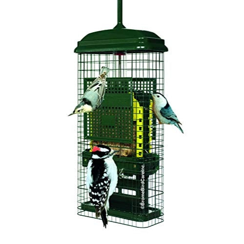 Brome Squirrel Buster Suet Bird Feeder — Squirrel-Proof Cage — Holds 2 Suet Cakes, Green, 18.6" H
