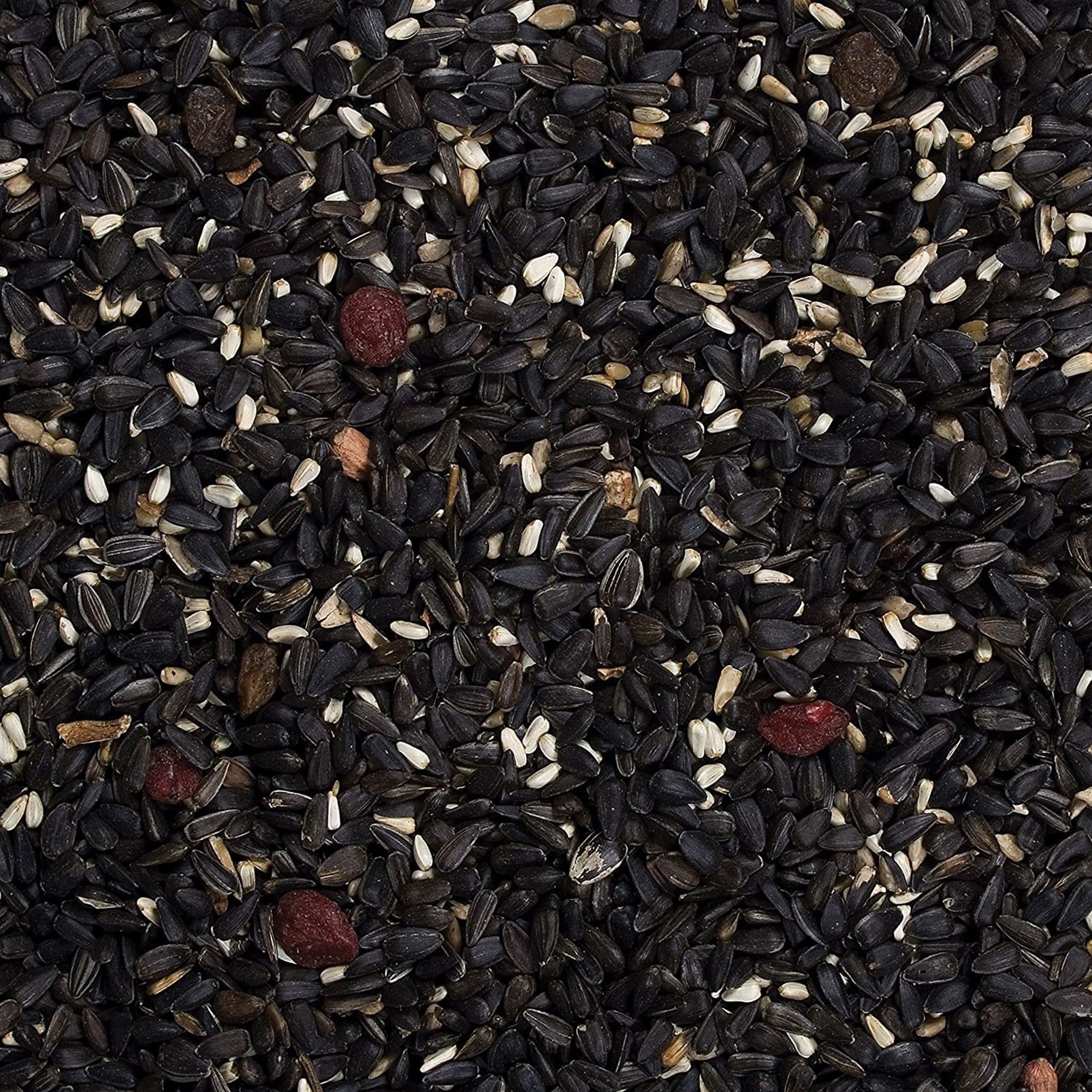 Wild Delight Songbird Food Bird Seed, 8lbs