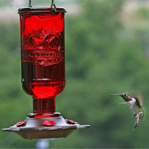 Classic Brands Elixir Hummingbird Feeder — Red Glass & Pewter Finish — 13 oz Nectar