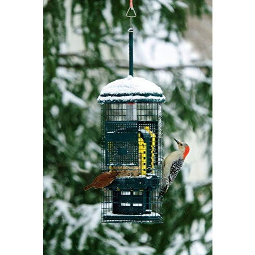 Brome Squirrel Buster Suet Bird Feeder — Squirrel-Proof Cage — Holds 2 Suet Cakes, Green, 18.6" H