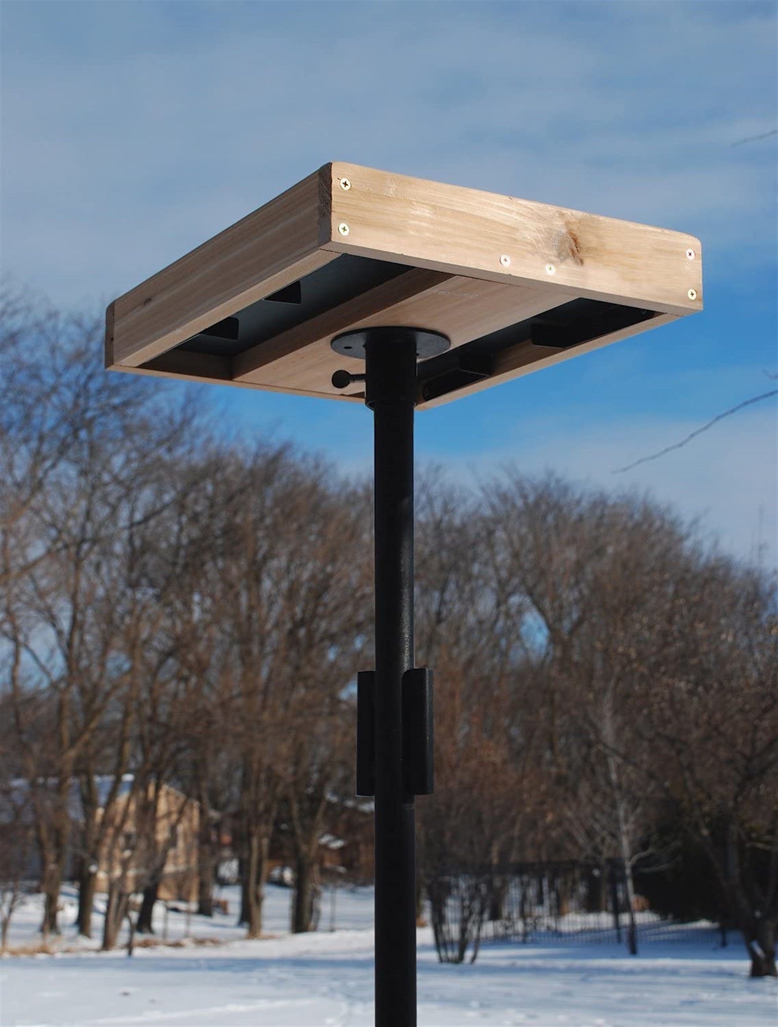 Woodlink Audubon 3-in-1 Platform Wild Bird Feeder, 3lb Seed Capacity