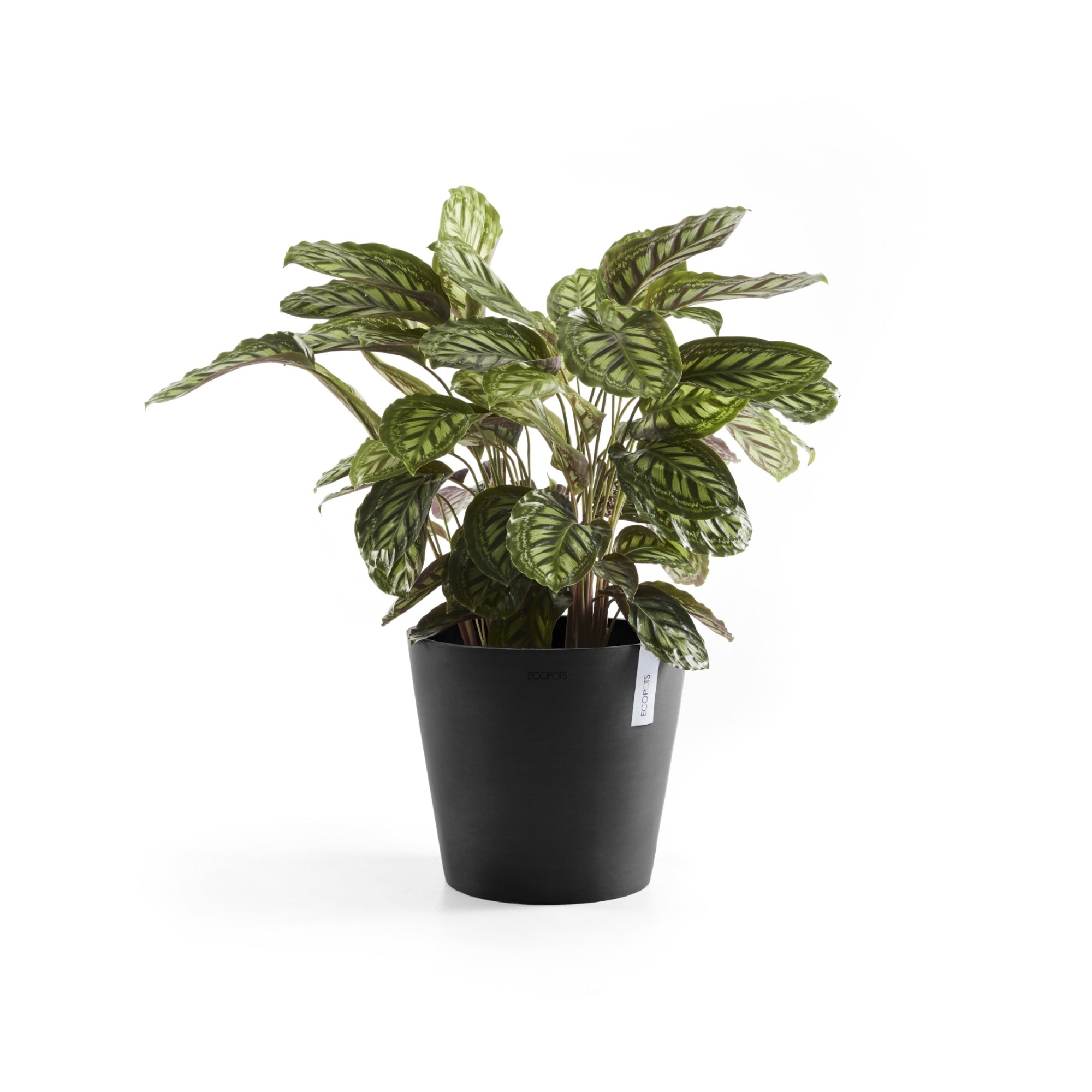 Ecopots Amsterdam Durable Modern Round In/Outdoor Recycled-Based Composite Flower Pot Planter