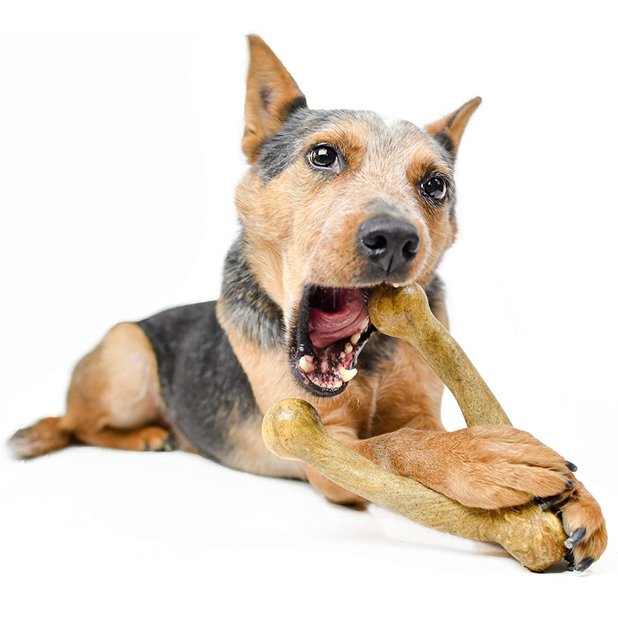 Pet Qwerks Wish BarkBone For Aggressive Chewers, Bacon Flavor, Size L