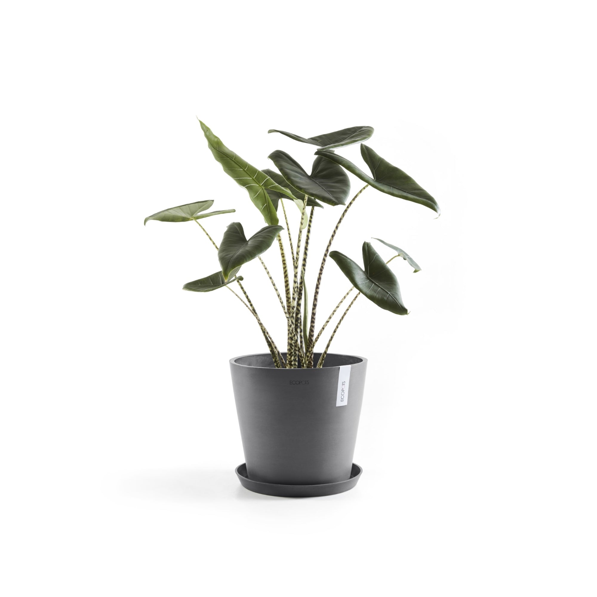 Ecopots Amsterdam Durable Modern Round In/Outdoor Recycled-Based Composite Flower Pot Planter
