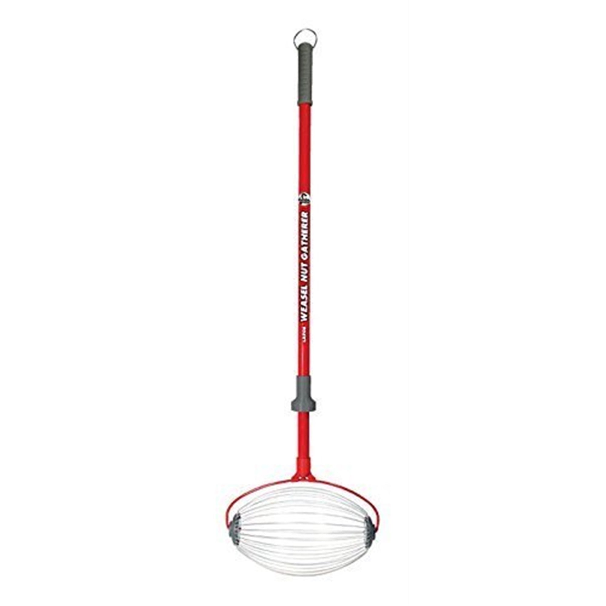Garden Weasel Large Nut Gatherer, Picks up Walnuts, Small Fruits, Sweet Gum Balls, and Magnolia Seeds from 1.5” to 3” In Size, Weather and Rust Resistant,