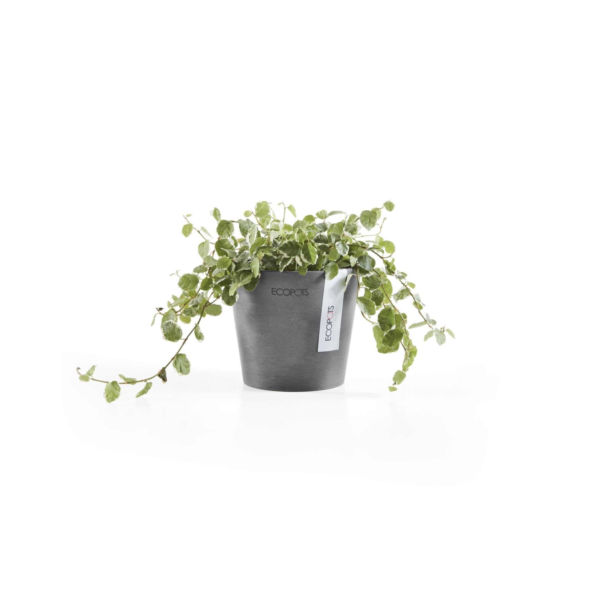 Ecopots Amsterdam Mini Durable Modern Round Recycled-Based Composite Flower Pot Planter