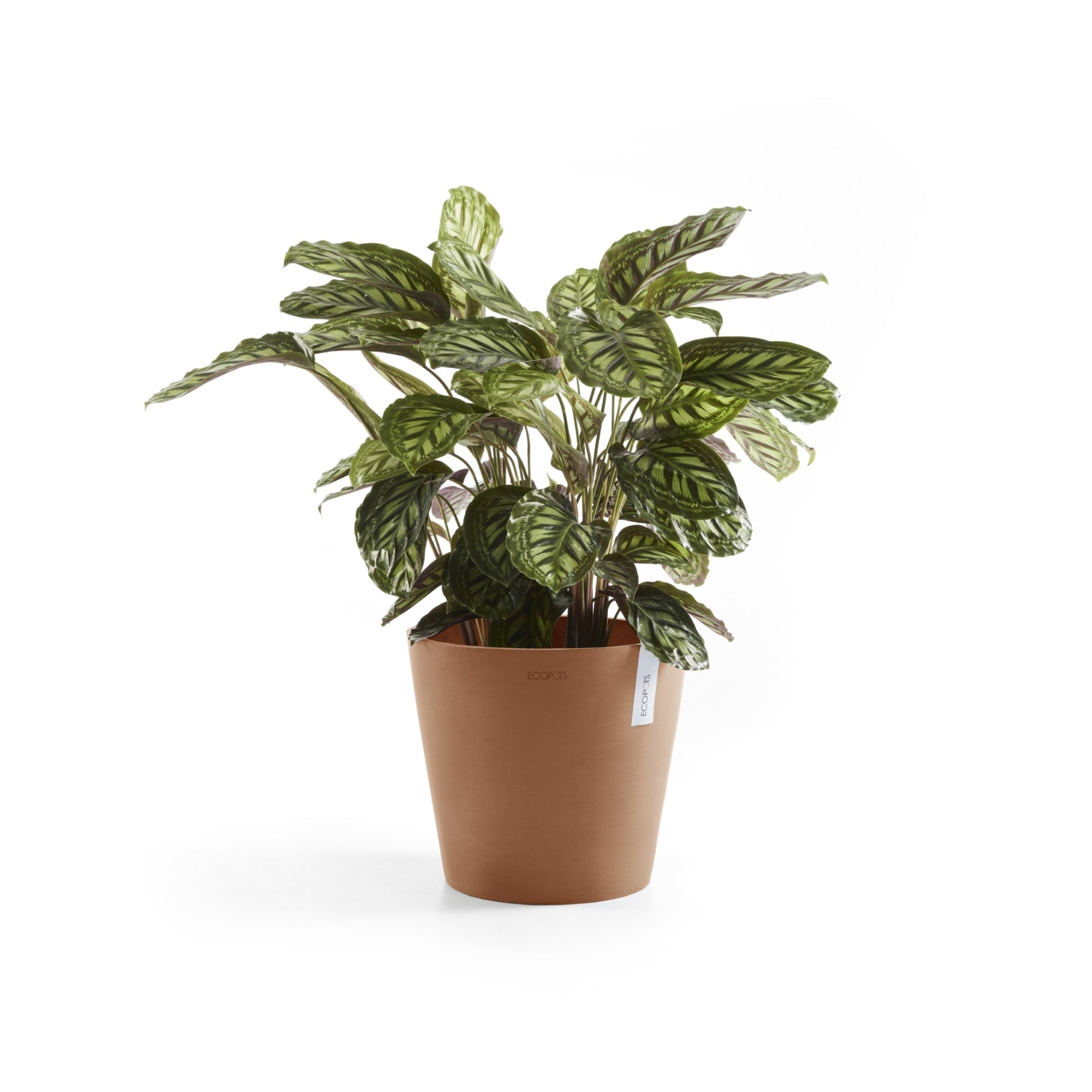 Ecopots Amsterdam Durable Modern Round In/Outdoor Recycled-Based Composite Flower Pot Planter
