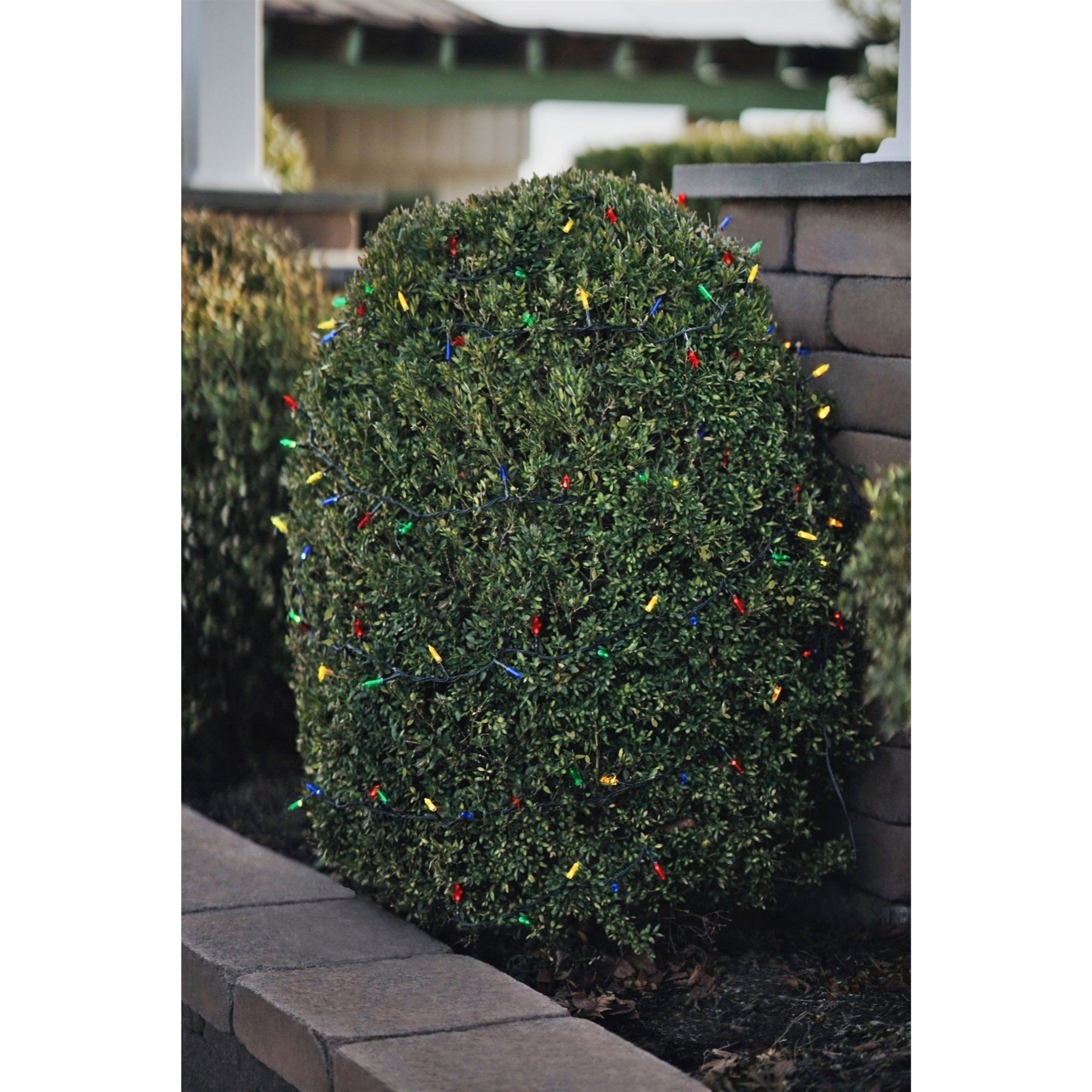 ProductWorks Indoor/Outdoor 150 Faceted LED-Mini Bulbs String Light Set with 8-Function Controller, Multicolored, 36ft