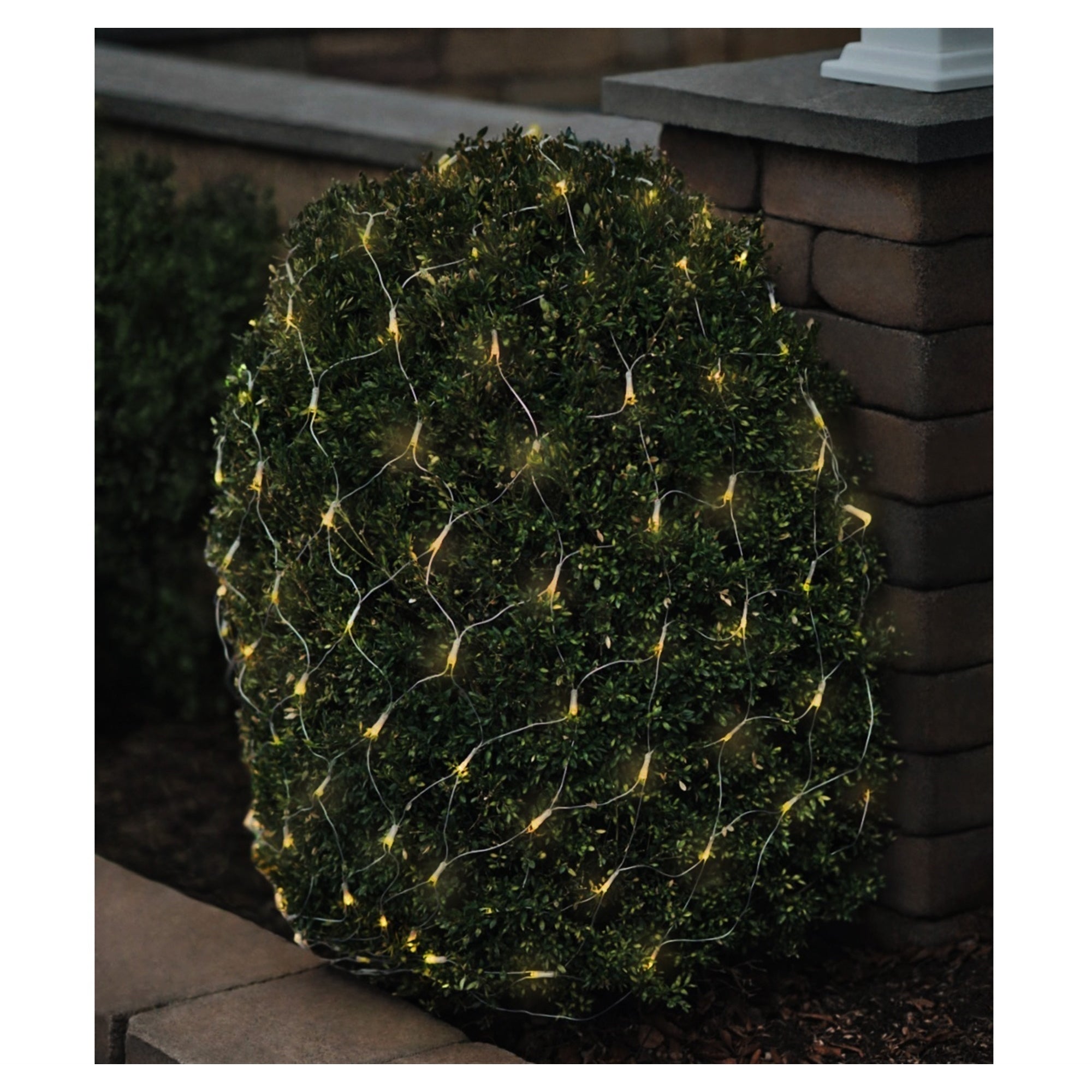 ProductWorks Outdoor 150 LED-Micro Bulbs Net Lights on Clear Wire, 8-Function Controller, 4ft x 6ft