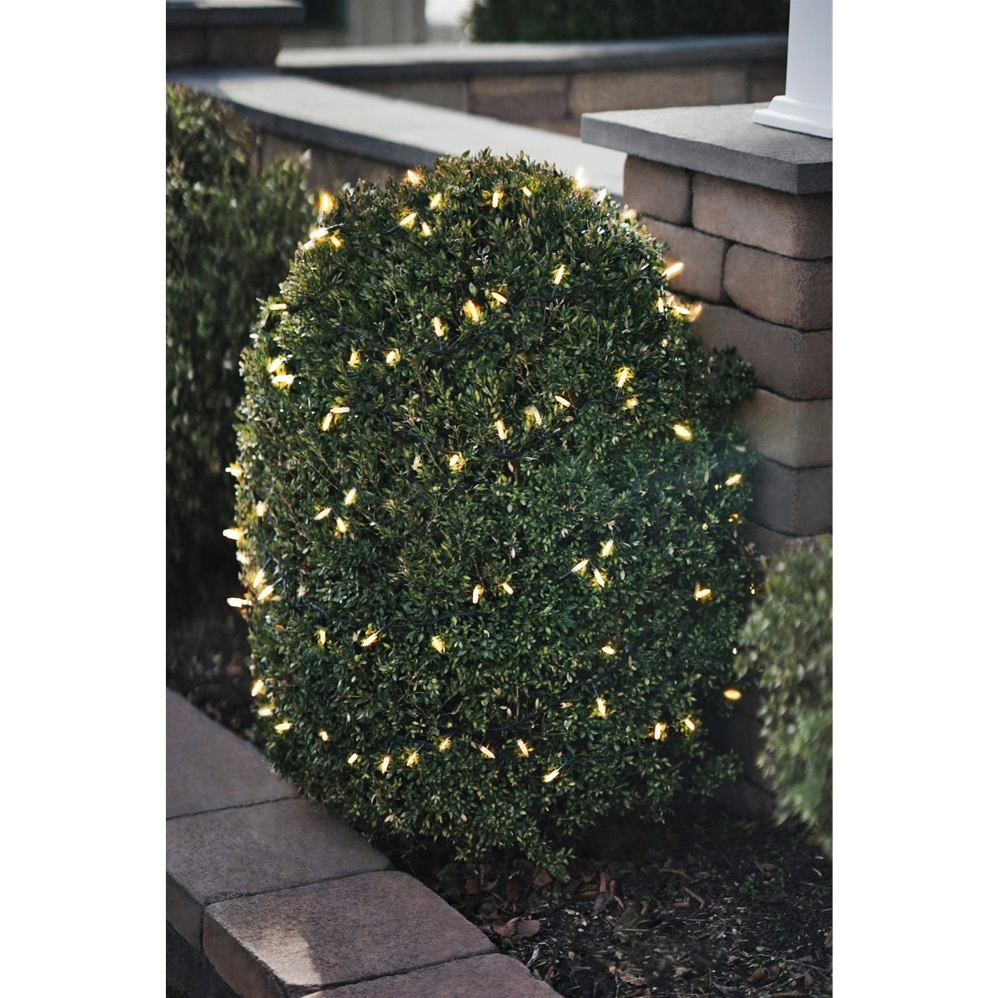 ProductWorks Indoor/Outdoor 150 LED-Mini Bulbs String Light Set with 8-Function Controller, Clear, 36ft