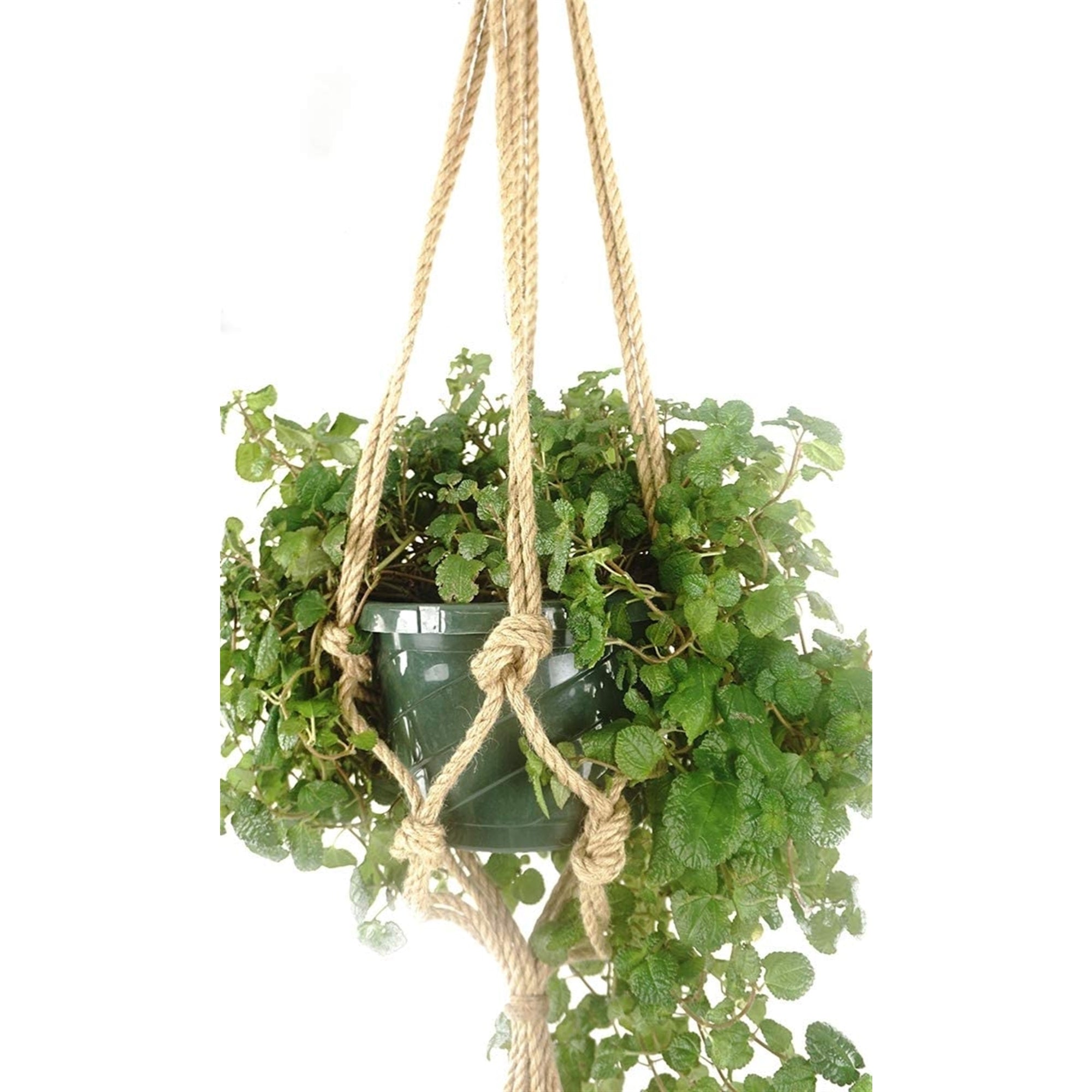 Primitive Planters Natural Rope Plant Hanger for Indoor or Outdoor Baskets – Hanging Use, Supports up to 40lb, Natural, 36"