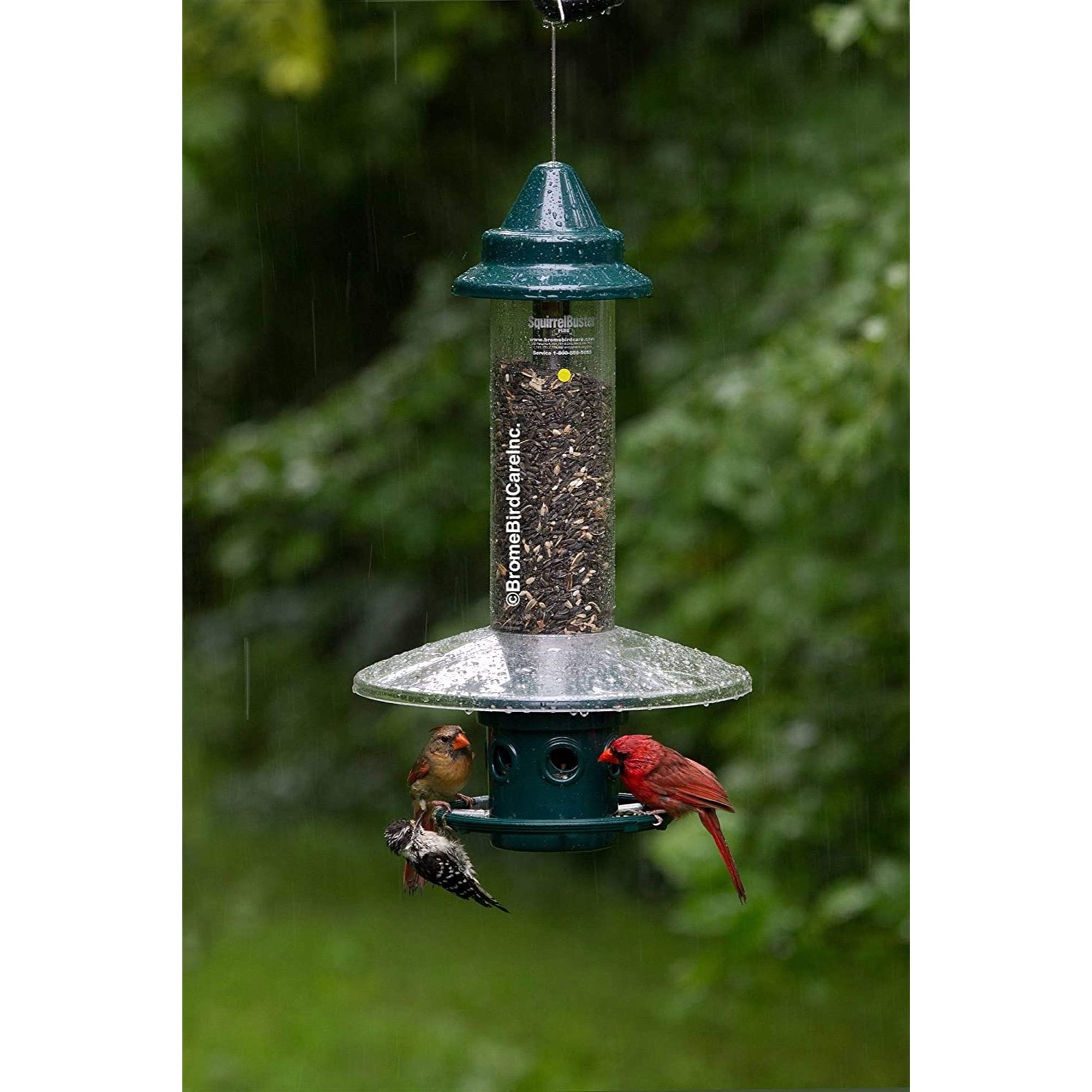 Brome Weather Guard Accessory for Squirrel Buster Plus Bird Feeder (Feeder Not Included)