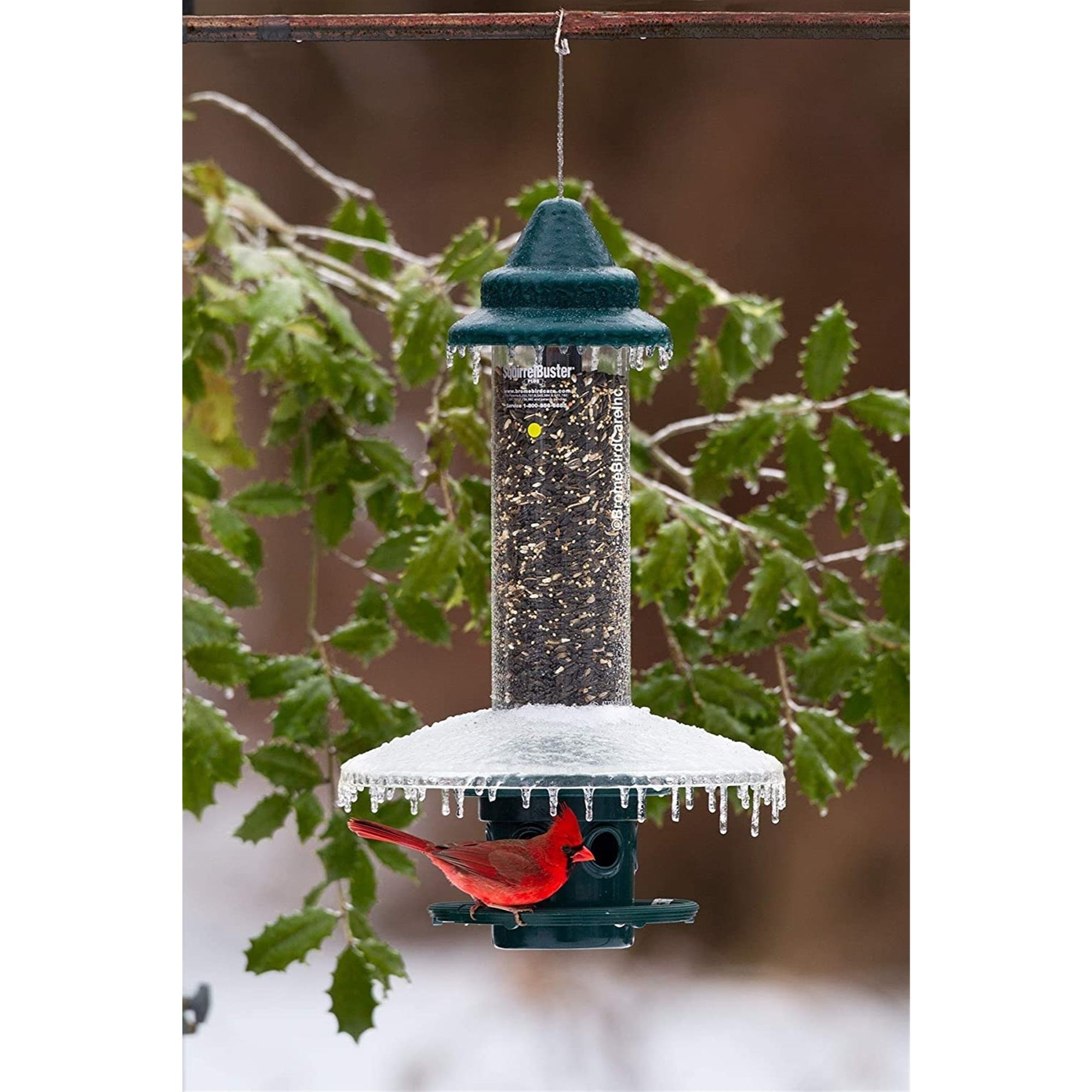 Brome Weather Guard Accessory for Squirrel Buster Plus Bird Feeder (Feeder Not Included)