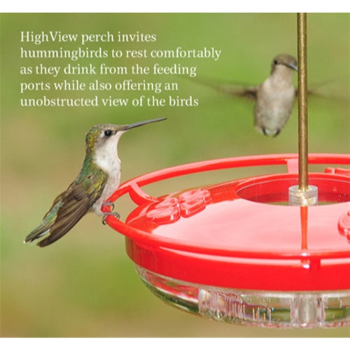 Aspects HummBlossom Rose Nectar Bird Feeder — 3 Feeding Ports, HighView Perch — 4 oz