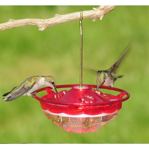 Aspects HummBlossom Rose Nectar Bird Feeder — 3 Feeding Ports, HighView Perch — 4 oz