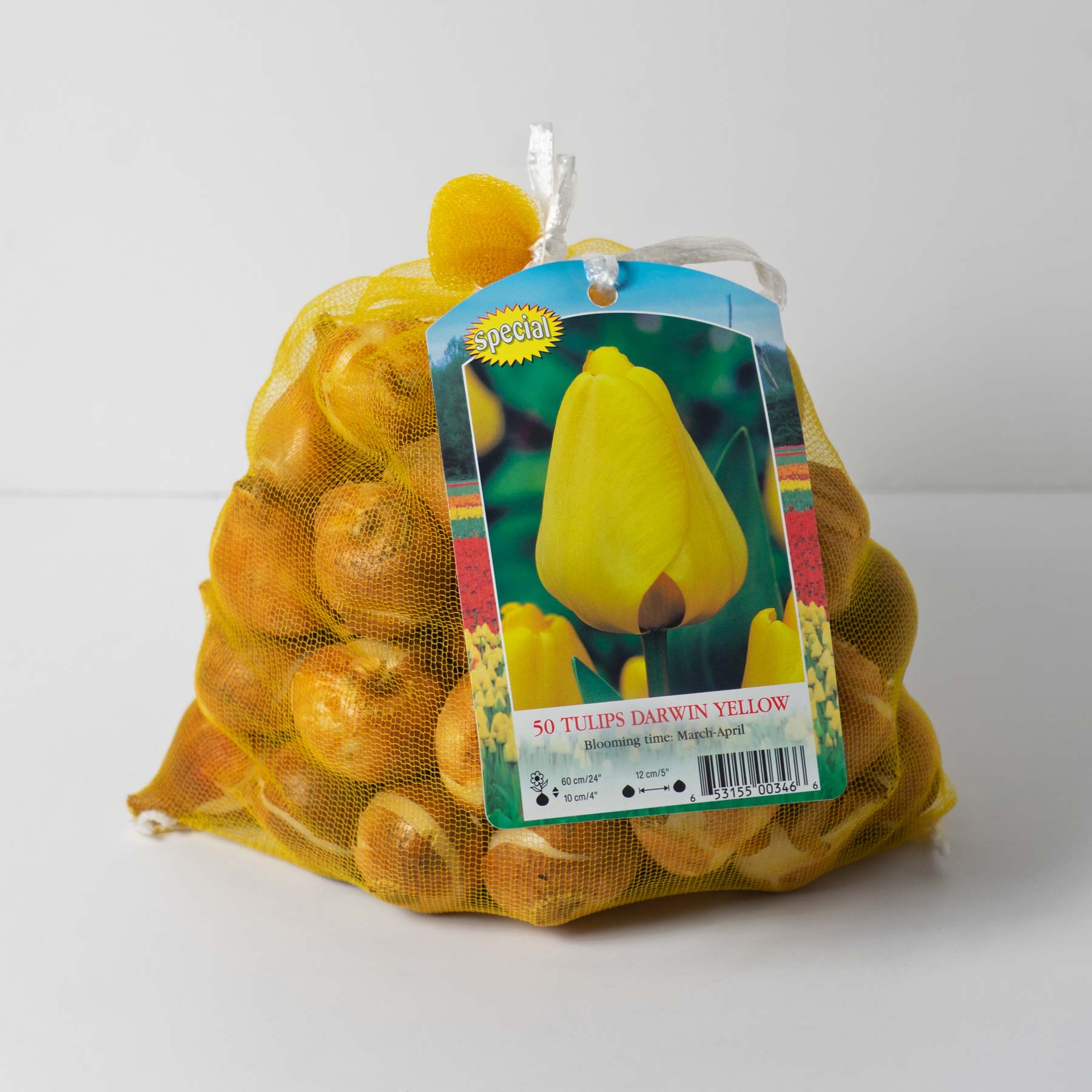 Garden Elements Spring Blooming Bulbs – Darwin Tulip, Big Smile, Yellow – 50 Pack