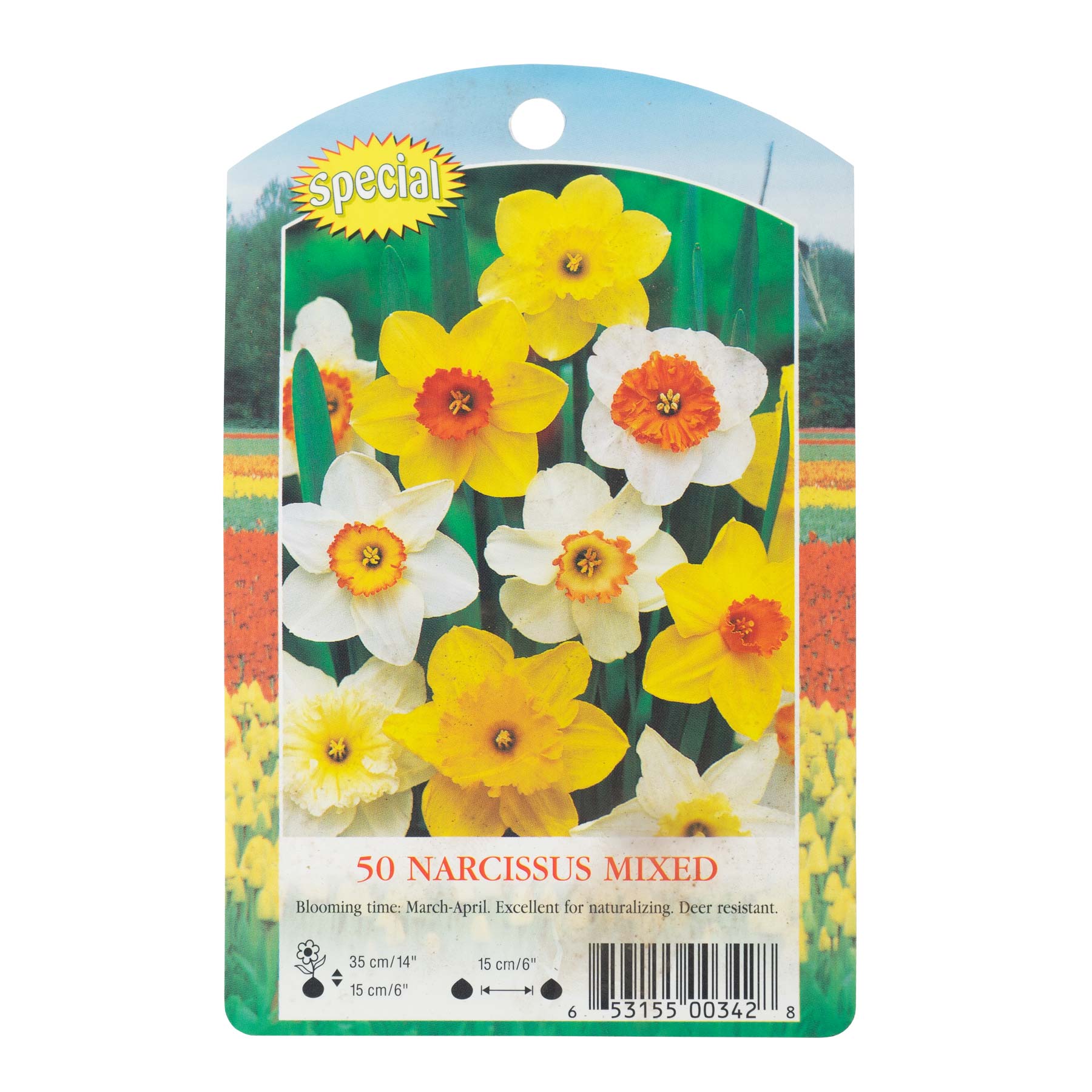 Garden Elements Spring Blooming Bulbs – Narcissus Daffodil, Mixed – 50 Pack
