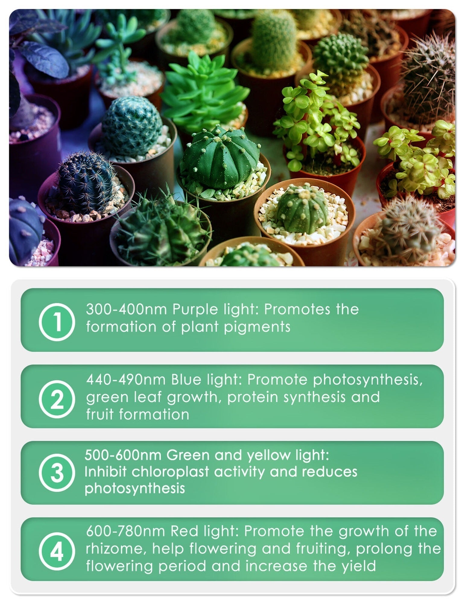 Garden Elements 4 Heads Clip-on Grow Light Growing Lamp for Indoor Plants & Hydroponics, 96W LED, Black